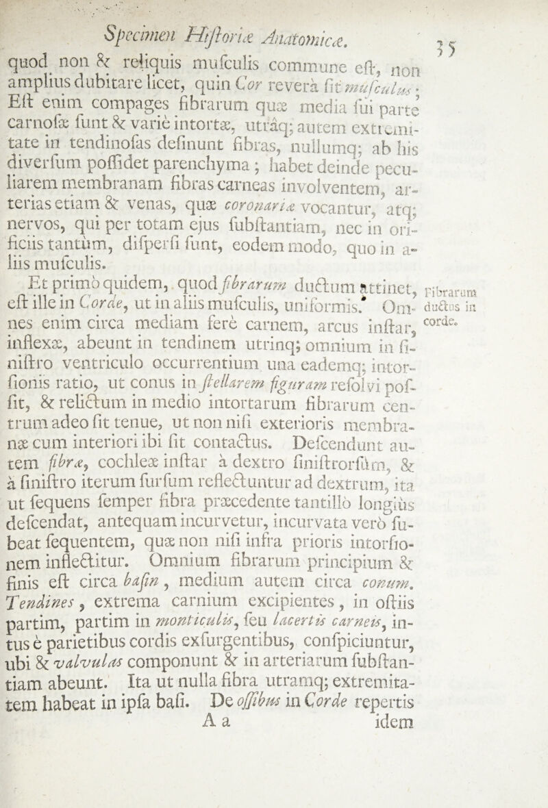 quod non k reliquis mufculis commune eft, non. amplius dubitare licet, quin Cor revera fit mufculm ■ Eli enim compages fibrarum quae media fui parte car notie funt 8t varie intortae, utraq; autem ext:,. ar¬ ta tc in tendmofas delinunt fibras, nullumq; ab ?s< diverlum poffidet parenchyma; habet deinde pecu¬ liarem membranam fibras carneas involventem , ar¬ terias etiam & venas, quae coronaria vocantur ato- nervos, qui per totam ejus fubftantiam, nec in ori¬ ficiis tantum, difperfi funt, eodem modo, quo in a- liis mufculis. Et primo quidem, quod fibrarum duftum attinet eft ille in Corde, ut in aliis mufculis, uniformis * Onv nes enim circa mediam fere carnem, arcus inftar, inflexas, abeunt in tendinem utrinq; omnium in fi- niftro ventriculo occurrentium una eademq: ititor- fionis ratio, ut conus 'm fi e liarem figuram relolvi pof- fit, & relictum in medio intortarum fibrarum cen¬ trum adeo fit tenue, ut non nili exterioris membra¬ nas cum interiori ibi fit contactus. Defcendimt au¬ tem fibra:, cochleae inflat a dextro finiftrorfurn, & a finiftro iterum furfum reflectuntur ad dextrum, ita ut fequens femper fibra praecedente tantillo longius defeendat, antequam incurvetur, incurvata vero fu- beat fequentem, quae non nifi infra prioris intorfio- nem inneditur. Omnium fibrarum principium & finis eft circa bafin, medium autem circa conum. Tendines , extrema carnium excipientes , in ofliis partim, partim in monti culis, feu lacertis carneis, in¬ tus e parietibus cordis exfurgentibus, confpiciuntur, ubi & valvulas componunt &■ in arteriarum fubftan¬ tiam abeunt. Ita ut nulla fibra utramq; extremita¬ tem habeat in ipfa bafi. De offibm in Corde repertis ■ * - A a idem 35 Fibrarum du£ius ia corde*
