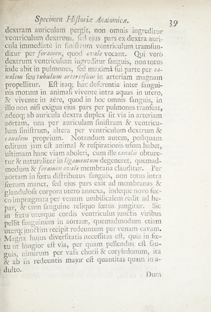 dextram auricillam pergit, non omnis ingreditur ventriculum dextrum, fci ejus pars ex dextra auri¬ cula immediate in finiftrum ventriculum transfun¬ ditur per foramen, quod ovale vocant. Qui vero dextrum ventriculum ingreditur fanguis, non totus inde abit in pulmones, fed maxima fui parte per ea¬ ndem Itu tubulum arteriefum in arteriam magnam propellitur. Eft itaq; haec deferentia' inter (angui¬ nis motum in animali vivente intra aquas in utero. Se vivente in aere, quod in hoc omnis fanguis, in illo non nifi exigua ejus pars per pulmones tranfeat, adeoq: ab auricula dextra duplex fit via in arteriam aortam, una per auriculam finiftram Se ventricu¬ lum finiftrum, altera per ventriculum dextrum & canalem proprium. Notandum autem, poftquam editum jam eft animal S: refpirationis ufum habet, ultimam hanc viam aboleri, cum ille canalis obture¬ tur h naturaliter in ligamentum degeneret, quemad- mod uni Se foramen ovale membrana clauditur. Per aortam in fcetu diftributus fanguis, non totus intra foetum manet, fed ejus pars exit ad membranas Se glandulofa corpora utero annexa, rndeque novo fuc- co impraegnata per venam umbilicalem redit ad he¬ par. & cum fanguine reliquo foetus jungitur. Sic in foetu uterque cordis ventriculus junefis viribus pellit fanguinem in aortam, quemadmodum etiam uterq: junctim recipit redeuntem per venam cavam. M;-una hujus diverfitatis neceftitas eft, quia in fe¬ tu iit longior eft via, per quam pellendus eft fan~- miis, nirnirum per vafa chorii & cotyledonum, ita &; ab iis redeuntis major eft quantitas quam in a- dulto. 0 uni