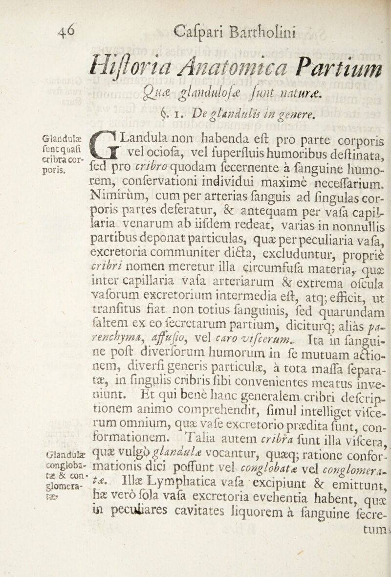 4^ Glandulae funt quali cribra cor¬ poris. Glandulae congloba¬ tae & con - glomera¬ tae:? Cafpari Bartholini Hiftoria Anatomica Partium Qjii-e gl nudulo i £ Juni natur#. §. i. De glandulis in genere. GLandula non habenda eft pro parte corporis vel ociofa, vel fuperfluis humoribus deftinata, fed pro cribro quodam fecernente a {anguine humo¬ rem, confervationi individui maxime neceflarium. Nimirum, cum per arterias {anguis ad lingulas cor¬ poris partes deferatur, & antequam per vafa capiL laria venarum ab iifdem redeat, varias in nonnullis partibus deponat particulas, quae per peculiaria vafa, excretoria communiter di&a, excluduntur, proprie cribri nomen meretur illa circumfufa materia, qux inter capillaria vafa arteriarum & extrema ofcula vaforum excretorium intermedia eft, atq;, efficit, ut tranfitus fiat non totius fanguinis, fed quarundam saltem ex eo iecretarum partium, diciturq; alias pa¬ renchyma, affufio, vel caro vifcerum.. Ita in fangui- ne poft diveriorum humorum in fe mutuam a&io- nem, diver fi generis particulae, a tota mafla fepara- tse, in fingplis cribris libi convenientes meatus inve¬ niunt. Et qui bene hanc generalem cribri defcrio- tionem animo comprehendit, fimul intelliget vifce- rum omnium, qux vafe excretorio praedita funt, con¬ formationem. I alia autem cribra funt illa viicera qux vulgoglanduU vocantur, quaeq; ratione confor¬ mationis dici polfunt ve! conglobata vel conglomera- ta. Illae Lymphatica vafa excipiunt & emittunt has vero fola vafa excretoria evehentia habent, quae in peculiares cavitates liquorem a fanguine fecre- tumi