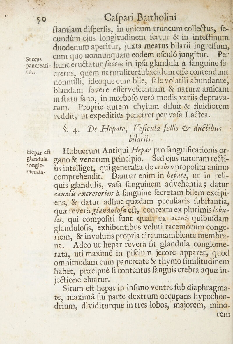 J» 50 Succus pancreati¬ cus» Hepar cft glandula congio* merata* Cafpaii Bartholini : . ifantiam difperfis, in unicum truncum collectus, fe¬ cundum ejus longitudinem fertur & in inteftinum duodenum aperitur, juxta meatus bilarii ingreifum, cum quo stonnunquam eodem ofculo jungitur. Per hunc eructatur facem in ipfa glandula a fanguine fe- cretus, quem naturaliterfubacidum effe contendunt nonnulli, ideoque cum bile, fale volatili abundante, blandam fovere efferve fcentiam & naturos amicam in flatu fano, in morbofo vero modis variis deprava¬ tam. Proprie autem chylum diluit <k fluidiorem reddit, ut expeditius penetret per vafa Laftea. De Hepate, Ve ficula feliis O' ductibus hilariis. Habuerunt Antiqui Hepar pro fanguificationis or¬ gano & venarum principio. Sed ejus naturam refti- «s intelliget, qui generalia de cribro propofita animo comprehendit. Dantur enim in hepate, ut in reli¬ quis glandulis, vafa fanguinem advehentia; datur canalis excretorius a fanguine fecretam bilem excipi¬ ens, & datur adhuc quaedam peculiaris fubttantia, quae revera glandulofa eft, contexta ex plurimis lobu¬ lis, qui compofiti funt quafi ex acinis quibufdam glandulofis, exhibentibus veluti racemorum conge¬ riem, & involutis propria circumambiente membra¬ na. Adeo ut hepar revera lit glandula conglome¬ rata, uti maxime in pifeium jecore apparet, quod omnimodam cum pancreate & thymo fimilitudinem habet, proscipue fi contentus fanguis crebra aquae in¬ jectione eluatur. , ' • Situm eft hepar in infimo ventre fub diaphragma¬ te, maxima fui parte dextrum occupans hypochon¬ drium, dividiturque intres lobos, majorem, mino¬ rem