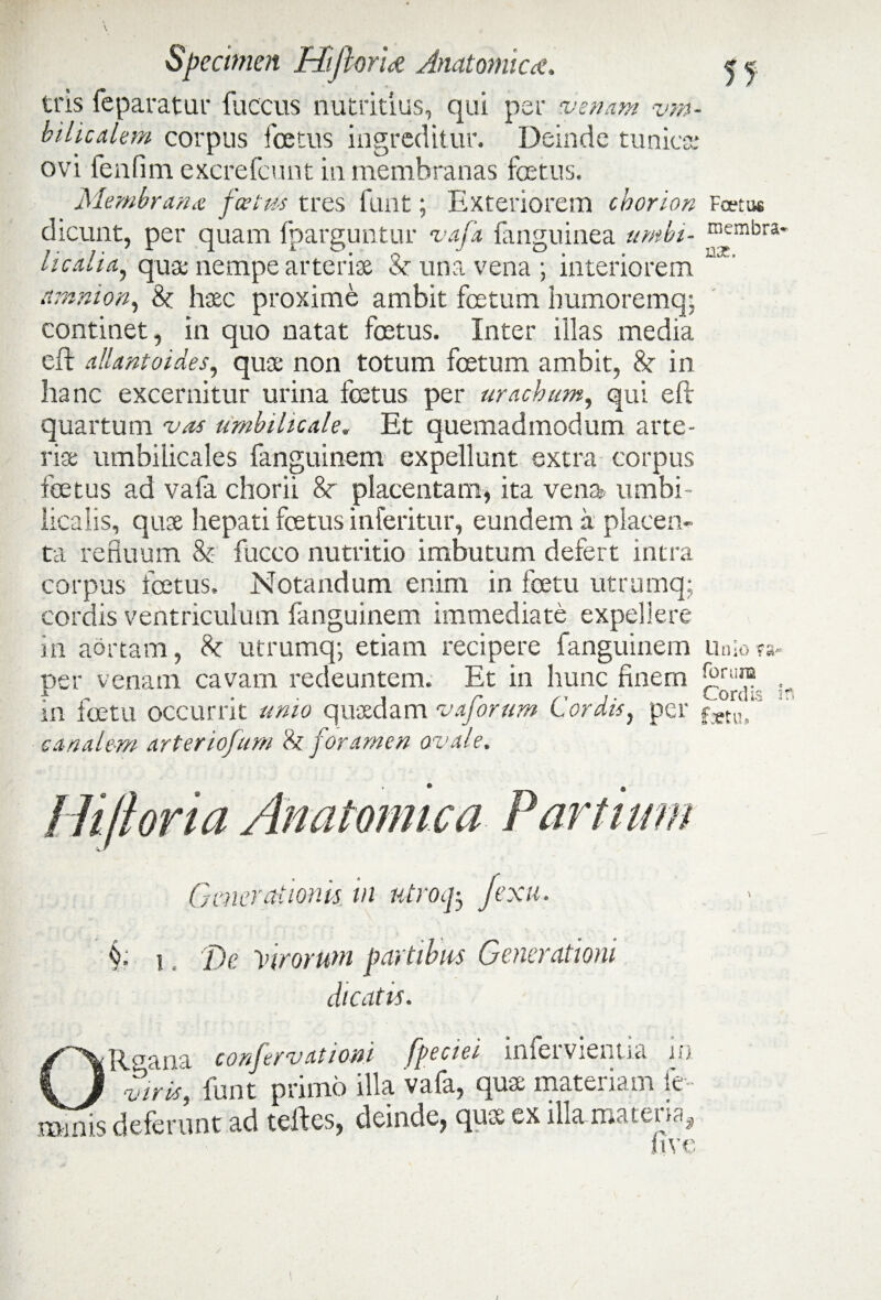 tris feparatur fuccus nutritius, qui per venam vm- bilicalem corpus foetus ingreditur. Deinde tunica; ovi fenfim excrefcunt in membranas foetus. Membrana foetus tres funt; Exteriorem chorion Fcetws membra¬ nae. amnion, 8t hasc proxime ambit fcetum h umore mq; continet, in quo natat foetus. Inter illas media eft allantoides, quae non totum foetum ambit, 8c in hanc excernitur urina foetus per urachum, qui eft quartum vas umbilicale. Et quemadmodum arte¬ riae umbilicales fanguinem expellunt extra corpus foetus ad vala chorii 8c placentam, ita vena, umbi¬ licalis, quae hepati foetus inferitur, eundem a placen¬ ta refluum & fucco nutritio imbutum defert intra corpus foetus. Notandum enim in fcetu utrumq; cordis ventriculum fanguinem immediate expellere in aortam, 80 utrumq; etiam recipere fanguinem Unio ca¬ cer venam cavam redeuntem. Et in hunc finem •fruI? , in foetu occurrit unio quaedam vaforum Cordis, per fstu/' canalem arteriofum & foramen ovale. §. i De Virorum partibus Generationi dicatis. 1