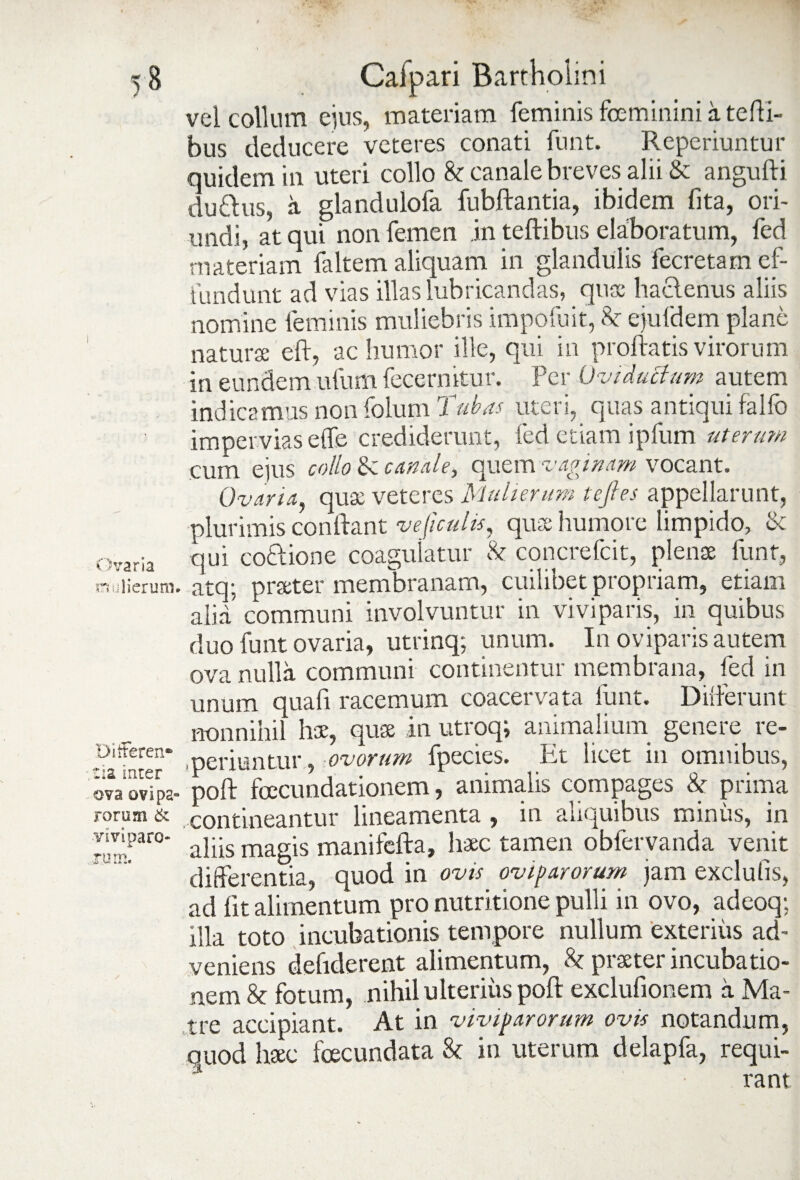 G varia nulierum. DitFeren* tia inter ova ovipa» rorum & viviparo» xurn. Cafpari Bartholini vel collum ejus, materiam feminis feminini a tefli- bus deducere veteres conati funt. Reperiuntur quidem in uteri collo & canale breves alii & angufti duftus, a glandulofa fubftantia, ibidem fita, ori¬ undi, atqui non femen in teftibus elaboratum, fed materiam (altem aliquam in glandulis fecretam ef¬ fundunt ad vias illas lubricandas, qua; haclenus aliis nomine feminis muliebris impofuit, & ejufdem plane naturae eft, ac humor ille, qui in proflatis virorum in eundem uliim fecernitur. Per Ovi ductum autem indicamus non folum Tubas uteri, quas antiqui falfo impervias effe crediderunt, fed etiam ipfum uterum cum ejus collo Sc canale, quem vaginam vocant. Ovaria, qua: veteres Mulierum tejles appellarunt, plurimis conllant ve ficulis, quae humore limpido, & qui co&ione coagulatur & concrefcit, plenae funt, atq; praeter membranam, cuilibet propriam, etiam alia communi involvuntur in viviparis, in quibus duo funt ovaria» utrinq; unum. In oviparis autem ova nulla communi continentur membrana, fed in unum quafi racemum coacervata funt. Differunt nonnihil hae, quae in utroq; animalium genere re- , periuntur, ovorum fpecies. Et licet in omnibus, poft fecundationem, animalis compages & prima contineantur lineamenta » in aliquibus minus, in aliis magis manifefta, liaec tamen obfervanda venit differentia, quod in ovis oviparorum jam exclufis, ad Iit alimentum pro nutritione pulli in ovo, adeoq; illa toto incubationis tempore nullum exterius ad¬ veniens defiderent alimentum, & praeter incubatio¬ nem & fotum, nihil ulterius poft exclufionem a Ma¬ tre accipiant. At in viviparorum ovis notandum, quod haec fecundata & in uterum delapfa, requi-