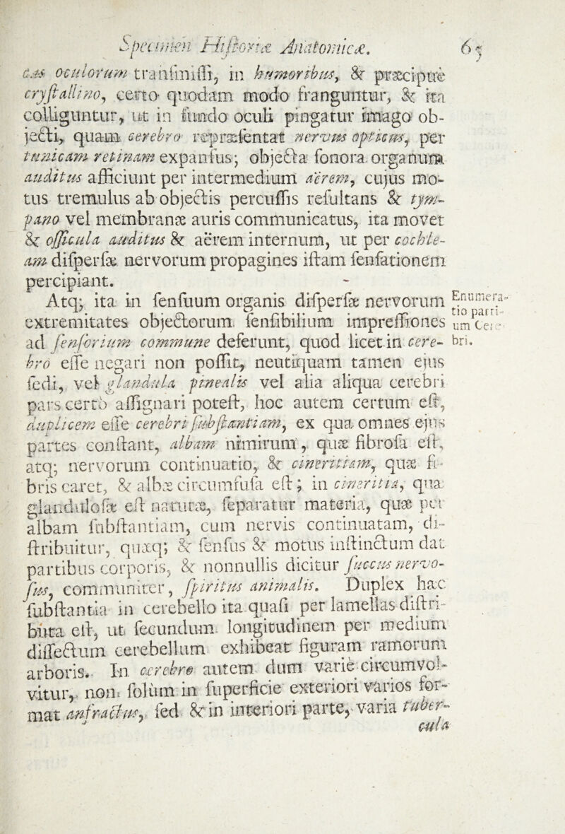 * JJ '7 ^v/51 UlV/UV i.1 } V2.\, tl-f colliguntur, ut in fundo oculi pingatur imago ob jecti, quam cerebro- reprasfentat nervus opuctrs, per tunicam retinam expanfus; objetui fonora organum auditu-s afficiunt per intermedium aerem, cujus mo¬ tus tremulus ab objectis percultis refultans 8c tym¬ pano vel membranas auris communicatus, ita movet 8c ofjicula auditus & aerem internum, ut per cochle¬ am difperfa; nervorum propagines iftam fenfationem percipiant. Atq; ita in fenfuum organis difperfa: nervorum Enumera. J-7. . . V rt 1 • rr t!0 parn- extremitates objectorum teniibiiium lmprefbones umcer- ad fenforium commune deferunt, quod licet in ccre- bri. bro effe negari non poflit, neutiquam tamen eius ledi,, vel glandula pinealis vel alia aliqua cerebri pars certb a dignari potelb, hoc autem certum elf, duplicem eile cerebri fubfisntiam, ex qua omnes ejus partes condant, albam nimirum, quse fibrofa eih, atq; nervorum continuatio, k cmentiam, quae fi¬ bris caret, & albae circumfufa eft; in emeritu, qua gkndulofae eit naturae, ieparatur materia, quse per albam fnbftantiam, cum nervis continuatam,-di- ftribuitur, quaq; & fenfus & motus inftinctum dat partibus corporis, & nonnullis dicitur fuccusnervo- fus, communiter, fp intus animalis. Duplex hac fub dantia in cerebello ita quad per lamellas difts i bura elr, ut fecundum longitudinem per um diffeftum cerebellum exhibeat figuram ra arboris.- Xn oerebro autem dum varie-cm •amorum circumvol- vituiv^nrfblum in fuperficie exteriori varios for¬ mat anfractus, fed 8cin interiori parte, varia ruber- 7 cula