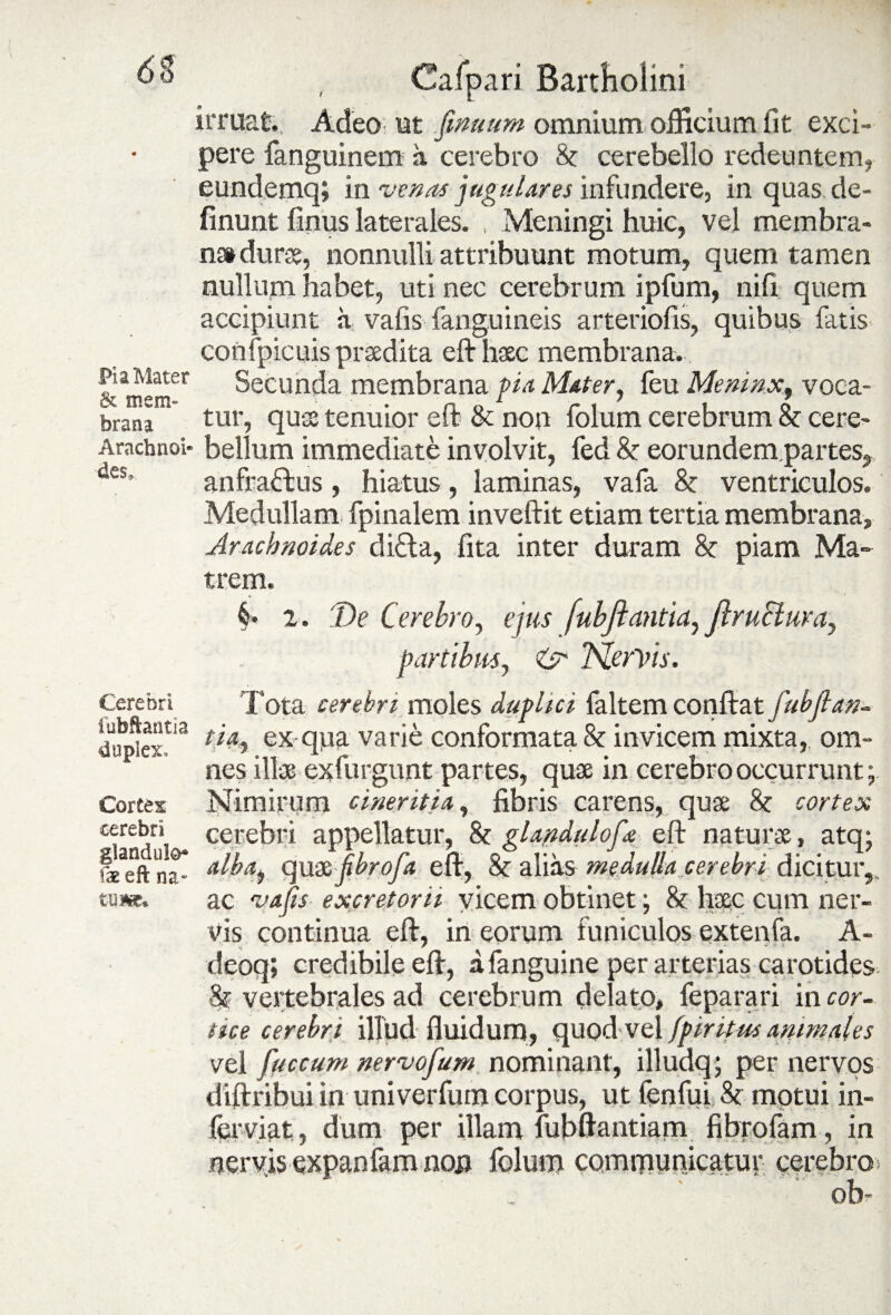 irruat.. Adeo ut fimum omnium officium fit exci¬ pere fanguinem a cerebro 8e cerebello redeuntem, eundemq; in -venas jugulares infundere, inquas.de- finunt finus laterales. , Meningi huic, vel membra¬ na» dure, nonnulli attribuunt motum, quem tamen nullum habet, uti nec cerebrum ipfum, nifi quem accipiunt a vafis fanguineis arteriolis, quibus fatis confpicuis praedita eft haec membrana. Secunda membrana pia Mater, feu Meninx, voca¬ tur, quae tenuior eft & non folum cerebrum & cere- Arachnoi* bellum immediate involvit, fed & eorundem partes,, des’ anfra&us , hiatus, laminas, vafa & ventriculos. Medullam fpinalem inveftit etiam tertia membrana, Aracbnoides di£la, fita inter duram 8e piam Ma~ Pia Mater & mem¬ brana Cerebri iubftantia duplex. Cortes cerebri glandulo* faeeft na¬ tu iw. trem. §* 2. De Cerebro, ejus fubjlantia, ftructura, partibus, & TSLerVis. Tota cerebri moles duplici faltem confiat fubflan¬ tia, exqpa varie conformata & invicem mixta, om¬ nes ili* exfurgunt partes, quae in cerebro occurrunt; Nimirum cineritia, fibris carens, quae Se cortex cerebri appellatur, 8e glandulofa eft naturae, atq; alba, quazfibrofa eft, Se alias medulla cerebri dicitur,, ac 'vafls excretorii vicem obtinet; 8e haec cum ner¬ vis continua eft, in eorum funiculos extenfa. A- deoq; credibile eft, afanguine per arterias carotides Se vertebrales ad cerebrum delato, feparari in cor¬ tice cerebri illud fluidum, quod vel fpintm animales vel fuccum nervofum nominant, illudq; per nervos diftribui in univerfum corpus, ut fenfui Se motui in- ferviat, dum per illam fubftantiam fibrofam, in nervis expanfam nou folum communicatur cerebro oh-