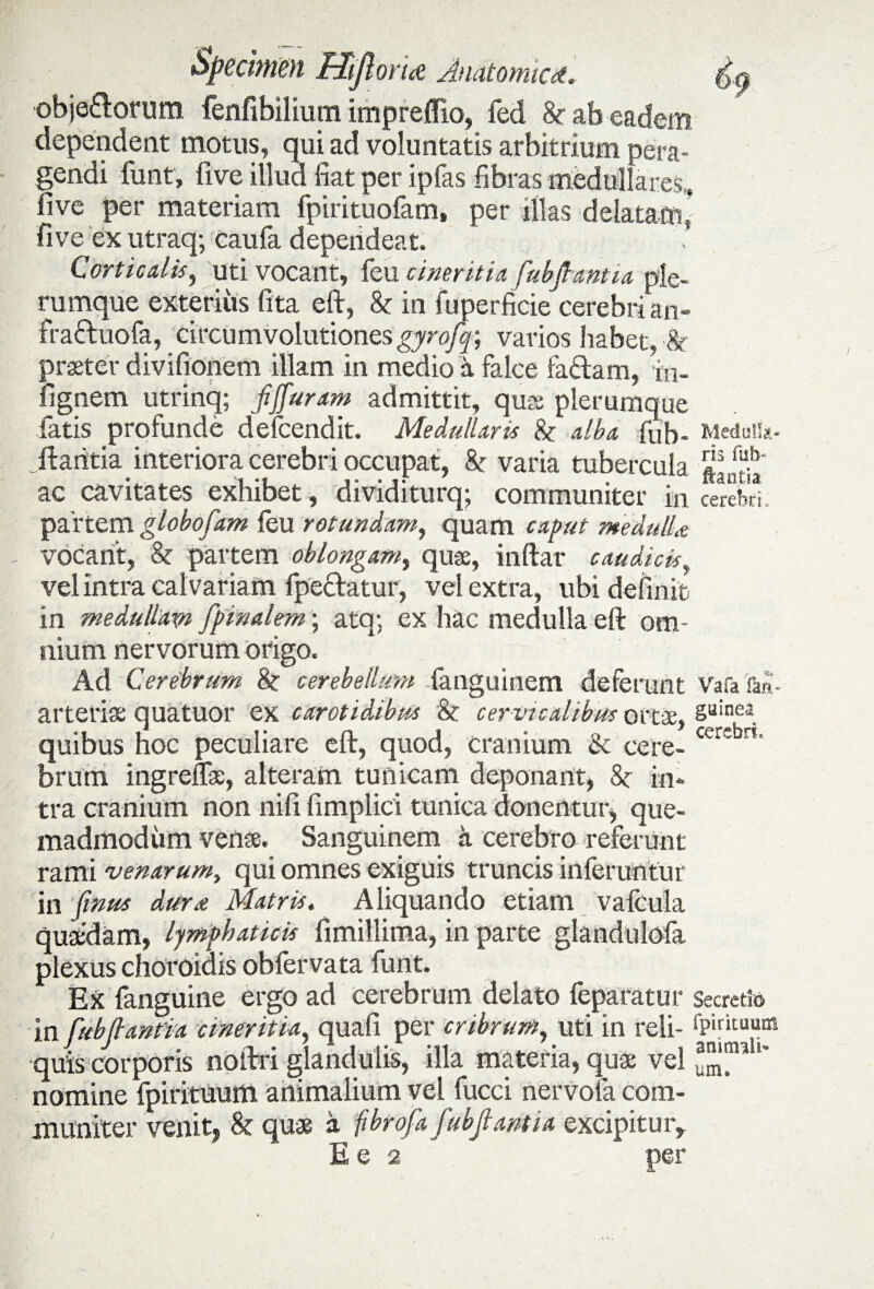 objefloriim fenfibilium imprefllo, fed &■ ab eadem dependent motus, qui ad voluntatis arbitrium pera¬ gendi funt, five illud fiat per ipfas fibras medullares, five per materiam fpirituofam, per illas delatam* five ex utraq; eaufa dependeat. Corticalis, uti vocant, feu cineritia fubfiantia ple¬ rumque exterius fita eft, & in fuperficie cerebri an- fra&uofa, circumvolutiones gyrofif, varios habet, & praeter divifionem illam in medio i falce fa&am, in- fignem utrinq; fiffuram admittit, quae plerumque fatis profunde defcendit. Medullaris alba .ffib- Medulia- jftaiitia interiora cerebri occupat, & varia tubercula ac cavitates exhibet, dividiturq; communiter in cerebri partem globo fiam feu rotundam, quam caput medulla vocant, & partem oblongam, quas, inftar caudicis, vel intra cal variam fpe&atur, vel extra, ubi definit in medullam [pinalem; atq; ex hac medulla eft om¬ nium nervorum origo. Ad Cerebrum 8c cerebellum fanguinem deferunt Vafa faa- artetias quatuor ex carotidibus 'h cer vicalibus ortae, Suine2. quibus hoc peculiare eft, quod, cranium & ce re- cer;bn' brum ingreflk, alteram tunicam deponant, Sc in¬ tra cranium non nili fimplici tunica donentur* que¬ madmodum venae. Sanguinem a cerebro referunt rami 'venarum, qui omnes exiguis truncis inferuntur in fimus dura Matris. Aliquando etiam vafcula quaedam, lymphaticis fimillima, in parte glandulofa plexus choroiais obfervata funt. Ex fanguine ergo ad cerebrum delato feparatur Secretio in fubfiantia cineritia, quali per cribrum, uti in reli- fpintuum quis corporis noftri glandulis, illa materia, quae vel nomine fpirituum animalium vel fucci nervofa com¬ muniter venit* & quae a fibrofa fubfiantia excipitur* E e 2 per um.