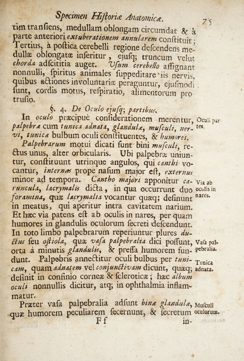 ttm tranliens, medullam oblongam circumdat h parte anteriori extuberationem annularem conftituit- Tertius, a poftica cerebelli regione delcendens me« dullas oblongatae inleritur , ejufq; truncum vel ut chorda adfcititia auget. Vfum cerebello alfmnant nonnulli, fpiritus animales fuppeditare • iis nervis, quibus aftiones involuntariae peraguntur, ejufmodi funt, cordis motus, refpiratio, alimentorum pro trufio. . v §. 4. De Oculo ejufq; partibus* In oculo praecipue confiderationem merentur, Ocuiipar palpebra cum tunica adnata, glandula, mufculi, ner- tes- w, tunica bulbum oculi conflituentes, &■ humores. Palpebrarum motui dicati funt bini mufculi' re- ftusunus, alter orbicularis. Ubi palpebrae uniun¬ tur, conftituunt utrinque angulos, qui canthi vo¬ cantur, internas prope nafum major eft, externus minor ad tempora. Cantho majori apponitur ca- v,a ab runculay lacrymalis dicla, in qua occurrunt duo oculis »» foramina, quae Dcrymaha vocantur quaeq; delinunt nares' in meatus, qui aperitur intra cavitatem narium. Et haec via patens efl: ab oculis in nares, per quam humores in glandulis oculorum fecreti defcendunt. In toto limbo palpebrarum reperiuntur plures du¬ ci us feu ofiiola, quae vafa palpebralia dici poliunt, Vafa pal- orta i minutis glandulis, & prefla humorem fun- Pebralia* dunt. Palpebris anne&itur oculi bulbus per tuni- Tl,nica cam, quam adnatem vel conjunctivam dicunt/ quaeq-, adnata. definit in confinio corneae & fcleroticae; haec album oculi nonnullis dicitur, atq; in Ophthalmia inflam¬ matur. Praeter vafa palpebralia adfunt bina glandula, Mufculi tiuse humorem peculiarem fecernunt,, & fecretum oculorum. A ; Ff in-