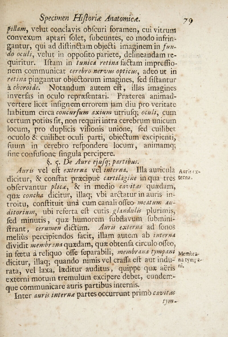 filiam, velut conclavis obfcuri foramen, cui vitrum convexum aptari folet, fubeuntes, eo modo infrin¬ gantur, qui ad diftin&am objefti imaginem in fun¬ do oculi, velut in oppofito pariete, delineandam re¬ quiritur. Iftam in tunica retina faftam impredio- nem communicat cerebro nervus opticus, adeo ut in retina pingantur objectorum imagines, fed fiftantur a choroide. Notandum autem eft, illas imagines inverfas in oculo repraefentari. Praeterea animad¬ vertere licet infignem errorem jam diu pro veritate habitum circa concurfum axium utriufq; oculi, cum certum potius fit, non requiri intra cerebrum unicum locum, pro duplicis vifionis unione, fed cuilibet ocuoio & cuilibet oculi parti, objeCtum excipienti, fuum in cerebro refpondere locum, animamq; fine confufione fingula percipere. C. y De Aure ejufq; fartibus. Auris vel eft externa vel interna. Illa auricula dicitur, & conftat praecipue cartilagine in qua tres obfervantur fhcn, & in medio cavitas quadam, quae concha dicitur, illaq; vbi arctatur in auris in¬ troitu, conftituit una cum canali odeo meatum au¬ ditorium, ubi referta eft cutis glandulis plurimis, fed minutis, quae humorem fubfiavum fubmini- ftrant , cerumen diCtiim. Auris externa ad fonos melius percipiendos facit, illam autem ab interna dividit membrana quaedam, quae obtenfa circulo odeo, in fcetu a reliquo ofle feparabili, membrana tymfani dicitur, illaq; quando nimis vel craffa eft aut indu¬ rata, vel laxa, laeditur auditus, quippe quae aeris externi motum tremulum excipere debet, eundem- que communicare auris partibus internis. Inter auris interna partes occurrunt primo cavitas tym- 'N Auris o> terna. Membra¬ na tym] «'• ni. j