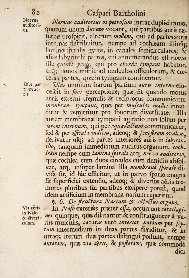 Nervus auditori¬ us. Ufus par* tium au¬ ris. Via aeris In Nafo & diverti¬ culum. Calpari Bartholini Nervus auditorius os petrofum intrat duplici ramo, quorum unum durum vocant, qui partibus auris ex¬ ternas profpicit, alterum mollem, qui ad partes auris internas diftribuitur, nempe ad cochleam illiufq; laminae fpiralis gyros, in canales femicirculares, &: alias labyrinthi partes, cui annumerandus eft ramus ille quinti parh, qui pro chorda tympani habetur, atq; ramos mittit ad mufculos ofliculorum, & cce- teras partes, qu$ in tympano continentur. Vfus omnium harum partium auris interna elu- cefeit in foni perceptione, quae fit quando motus aeris externi tremulis & reciprocus communicatur membrana tympani, quae per mufculos mallei inten¬ ditur & remittitur pro fonorum diverfitate. Illa autem membranae tympani agitatio non foliim per aerem internum, qui per aquaductum communicatur, fed & per ojjtcula auditus, adeoq; 8t fenejlram ovalem, derivatur ufq; ad partes interiores auris in labyrin- tho, tanquam immediatum auditus organum, coch¬ leam nempe cum lamina fpirali atq; nervo auditorio quae cochlea cum duos circulos cum dimidio abfol- vat, atq; infuper lamina illa membrani fpirali di- vifa fit, id hic efficitur, ut in parvo Ipatio magna fit fuperficiei extenfio, adeoq; h diverfos aeris tre¬ mores pluribus fui partibus excipere poteft, quod idem artificium in membrana narium reperitur. 6. De Jlrutfura Narium & olfaltus organo. In Nafo exterius praeter offa, occurrunt cartilagi¬ nes quinque, quae dilatantur & conftringuntur a va¬ riis mufculis, cavitas verb interior narium per fep- tum intermedium in duas partes dividitur, 8t in utraq; iterum duae partes diftingui poliunt, nempe anterior, quae via aeris, & pojlerior, quae commodi dici i