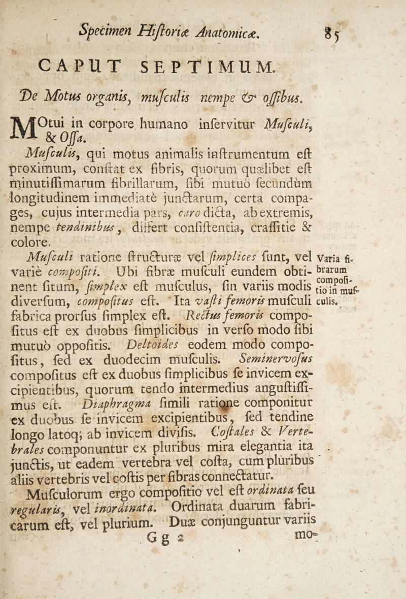 C A PU T SEPTIMUM. De Motui organis, mufculis nempe & ojjibus. ^ / ~~ ’ % * MOtui in corpore humano infervitur Mufculi. kOJfa. Mufculis, qui motus animalis inftrumentum eft proximum, conti:at ex fibris, quorum quaslibet eft minutiflimarum fibrillarum, fibi mutuo fecundum longitudinem immediate junftarum, certa compa¬ ges, cujus intermedia pars, caro dicta, ab extremis, nempe tendinibus, differt conii flentia, craffitie & colore. ; : Mufculi ratione ft ruet urse vel ftmp lices funt, vel varia fi. varie compofts. Ubi fibrae mufculi eundem obti- hl'arumr nent fitum, fimplex eft mufculus, fin variis modis ncUn mufr diverfum, compofitus eft. Ita vajti femoris mufculi culis, fabrica prorfus fimplex eft. Rectus femoris compo- fitus eft ex duobus fimplicibus in verfo modo fibi mutuo oppofitis. Deltoides eodem modo compo¬ fitus, fed ex duodecim mufculis. Seminervofus compofitus eft ex duobus fimplicibus fe invicem ex¬ cipientibus, quorum tendo intermedius anguftilfi- mus eft. Diaphragma fimili ratiqne componitur ex duobus fe invicem excipientibus, fed tendine longo latoq; ab invicem divifis. Cofiales & Verte¬ brales componuntur ex pluribus mira elegantia ita . jun&is, ut eadem vertebra vel cofta, cum pluribus ' aliis vertebris vel coftis per fibras conneftatur. Mufculorum ergo compofitio vel eft ordinata feu regularis, vel inordinata. Ordinata duarum fabift carum eft, vel plurium. Duse conjunguntur variis G g 2 rao*