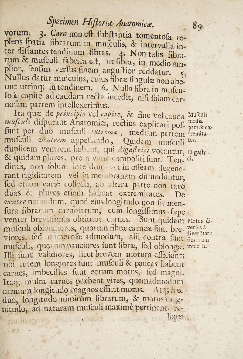 voram. $. Caro non eft fubftantia tomentofa re¬ plens fpatia fibrarum in mufculis, & intervalla in¬ ter diftantes tendinum fibras* q. Non talis fibra rum& mufculi fabrica eft, ut fibra, in medio am¬ plior, ienfim verfus finem anguftior reddatur. < Nullus datur mufculus, cujus fibra; lingulaenonabe- unt uti inq; in tendinem. 6. Nulla fibra in mufcu- 16 a capite ad caudam reda incedit, nifi folamcir nofam partem intellexerimus. Ita quae de principio vel capite, & fine vel cauda mufculi difputant Anatomici, redius explicari pof- funt per duo mufculi extrema , mediam partem mufculi ventrem appellando, Quidam mufculi duplicem ventrem habent, qui digaftrici vocantur & quidam plures, pro.it v ne ^ompofiti funt. Ten¬ dines, non folum interdum yd in ofleam degene¬ rant rigiditatem vel in membranam diffunduntur, fed etiam varie colledi, ab altera parte non raro duas & plures etiam habent extremitates. De vmtre notandum, quod ejus longitudo non fit men- fura fibrarum carnatarum, cum longiffimus fape venter breviilivnas obtineat carnes. Sunt quidam mufculi oblongiores, quorum fibrae carnese funt bre¬ viores, fed nurnerofe admodum, alii contra funt Illi funt validiores, licet brevem motum efficiant; ubi autem longiores funt mufculi & paucas habent . carnes, imbecilles funt eorum motus, fed magni. Itaq; multat carnes praebent vires, quemadmodum carnium longitudo magnos efficit motus. Atq; hac duo, longitudo nimirum fibrarum, & motus mag¬ nitudo, ad naturam mufculi maxime pertinent, re- v liqua Mufculi media pars & ex¬ tremita¬ tes. DigaftrL ci* Motus di- verfosa diverfitate fibri :;um