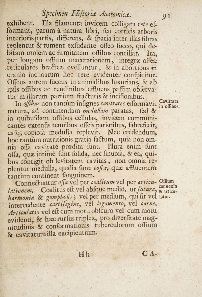 exhibent. Illa filamenta invicem colligata rete ef- formant, parum a natura libri, feu corticis arboris interioris partis, differens, & fpatia inter illas fibras replentur & tument exfudante offeo fucco, qui de¬ bitam molem ac firmitatem oflibus conciliat. Ita, per longam offium macerationem, integras offeas -reticulares bra£teae evelluntur, 8t in abortibus in. cranio inchoatum hoc rete evidenter confpicitur. Offeus autem fuccus in animalibus luxurians, & ab ipfis oflibus ac tendinibus effluens paflim obferva- tur in illarum partium fracturis &r incifionibus. In ojfibiM non tantum infignes cavitates efformavit natura, ad continendam medullam paratas, fed <k in quibufdam oflibus cellulas, invicem communi¬ cantes extenfis tenuibus offeis parietibus, fabrefecit, eafq; copiofa medulla replevit. Nec credendum, hoc tantum nutritionis gratia faftum, quia non om¬ nia offa cavitate praedita funt. Plura enim funt offa, quae intime funt folida, nec linuofa, & ea, qui¬ bus contigit ob levitatem cavitas, non omnia re¬ plentur medulla, qualia funt cojla, quae affluentem tantum continent fanguinem. Conneftuntur offa vel per coalitum vel per articu¬ lationem. Coalitus eft vel abfque medio, ut futura, harmonia Sc gomphofis; vel per medium, qui fit vel intercedente cartilagine, vel ligamento, vel carne. Articulatio vel eft cum motu obfcuro vel cum motu evidenti, U haec rurfus triplex, pro diverfitate mag¬ nitudinis & conformationis tuberculorum offium &r cavitatum illa excipientium. V. /• • * • .• f A: • ' • ' * • . •» H h C A- 91 Cavitates in oflibus. Oflium connexio & articu¬ latio.