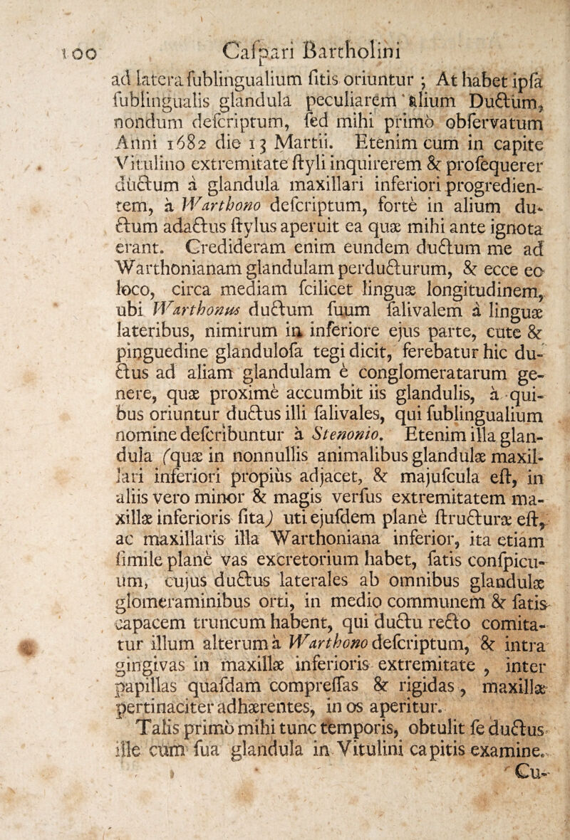 ad latera fublingualium fitis oriuntur ; At habet ip(a fublingualis glandula peculiarem felium Duftum, nondum deferiptum, fed mihi primo obfervatum Anni 1682 die 13 Martii. Etenim cum in capite Vitulino extremitate ftyli inquirerem 8c profequerer ductum a glandula maxillari inferiori progredien¬ tem, a Warthono deferiptum, forte in alium du- £tum adaftus ftylus aperuit ea quae mihi ante ignota erant. Credideram enim eundem dudum me ad Warthonianam glandulam perduflurum, ecce eo loco, circa mediam fcilicet linguas longitudinem, ubi Wurthonm dudtum fuum falivalem a linguae lateribus, nimirum in inferiore ejus parte, cute & pinguedine glandulofa tegi dicit, ferebatur hic du- £tus ad aliam glandulam e conglomeratarum ge¬ nere, quae proxime accumbit iis glandulis, a qui¬ bus oriuntur duftus illi falivales, qui fublingualium nomine delcribuntur a Stenonio. Etenim illa glan¬ dula (quse in nonnullis animalibus glandulae maxil¬ lari inferiori propius adjacet, & majulcula eft, in aliis vero minor & magis verfus extremitatem ma¬ xillae inferioris fita) uti ejufdem plane ftructurae eft, ac maxillaris illa Warthoniana inferior, ita etiam ii mile plane vas excretorium habet, fatis confpicu- um, cujus ductus laterales ab omnibus glandulae glomeraminibus orti, in medio communem &r fatis capacem truncum habent, qui ductu reflo comita¬ tur illum alterum a Warthqno deferiptum, 8c intra gingivas in maxillae inferioris extremitate , inter papillas quafdam compreffas & rigidas, maxillae pertinaciter adhaerentes, in os aperitur. Talis primo mihi tunc temporis, obtulit fe duftus ille cum fu a glanciula in V itu lini capitis examine.