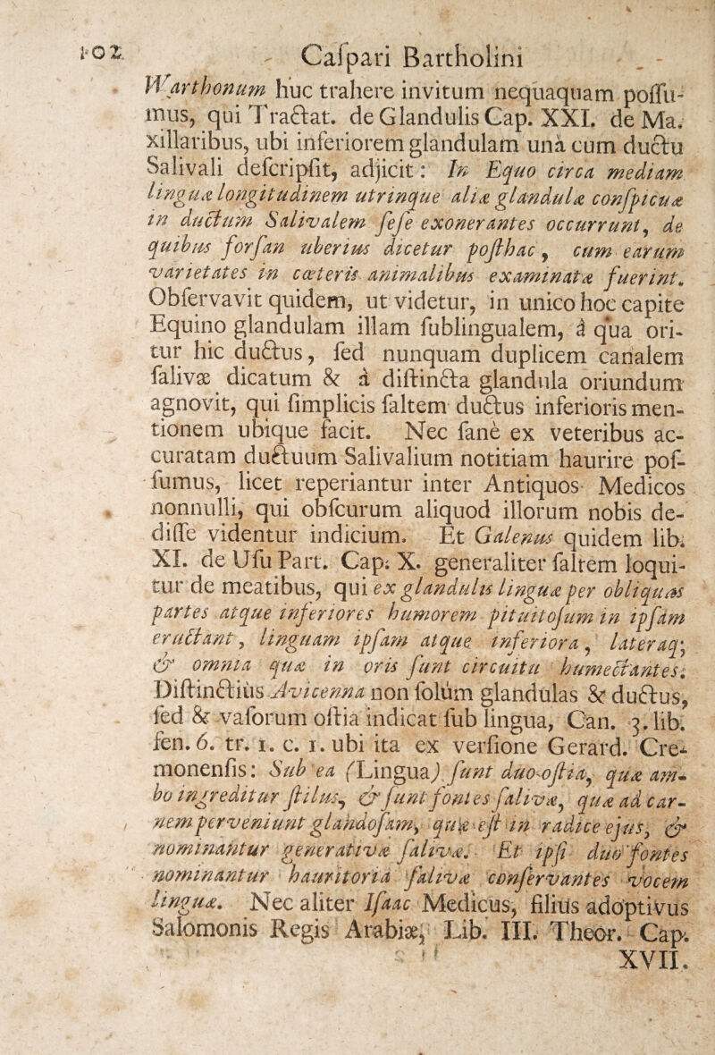 Warthonum huc trahere invitum nequaquam poffu- mus, quiTra&at. de Glandulis Cap. XXL de Ma. xillaribus, ubi inferiorem glandulam una cum ducfu Salivali defcripfit, adjicit: In Equo circa mediam lingua longitudinem utnnque aha glandula confpicua in ductum Salivalem fefe exonerantes occurrunt, de quibus forfan uberius dicetur poflhac, cum earum varietates in c ceteris-animalibus examinat a fuerint. Obfervavit quidem, ut videtur, in unico hoc capite Equino glandulam illam fublingualem, 3 qua ori¬ tur hic duftus, fed nunquam duplicem canalem falivae dicatum & d diftinfta glandula oriundum agnovit, qui fimplicis laltem duftus inferioris men¬ tionem ubique facit. Nec fane ex veteribus ac¬ curatam duftuum Salivalium notitiam haurire pof- • fumus, licet reperiantur inter Antiquos Medicos nonnulli, qui obfcurum aliquod illorum nobis de- dilfe videntur indicium. Et Galenus quidem libi XI. de Ufu Part. Cap; X. generaliter faltem loqui¬ tur de meatibus, qui ex glandulis lingua per obliuuos partes atque inferiores humorem pituitojum in ipfdm erudiant, linguam ipfam atque inferiora, lateraq-} & omnia qua in oris funt circuitu humectantes. Dlftmdiiixs Jvicenna non foliim glandulas & ducfus, fed & vaforum olfia indicat fub lingua, Can. j. Yib. fen.6. tr. i. c. j.ubi ita ex verfione Gerard. Cre- monenfis: Sub ea f Lingua,) funt duo-oftia, qua am¬ bo ingreditur ft i lus, & furitfontes faliva, qua ad car¬ nemperveniunt glandofam, qu#*efi an radice ejus, & nominantur gener at iv a faliva. Et ipfi duo fontes nominantur hauritoria faliva confervantes vocem hngua. Nec aliter Ifaac Medicus, filius adoptivus Salomonis Regis Arabiae, Libi III. Theor. Cap , n ' s '# XVI