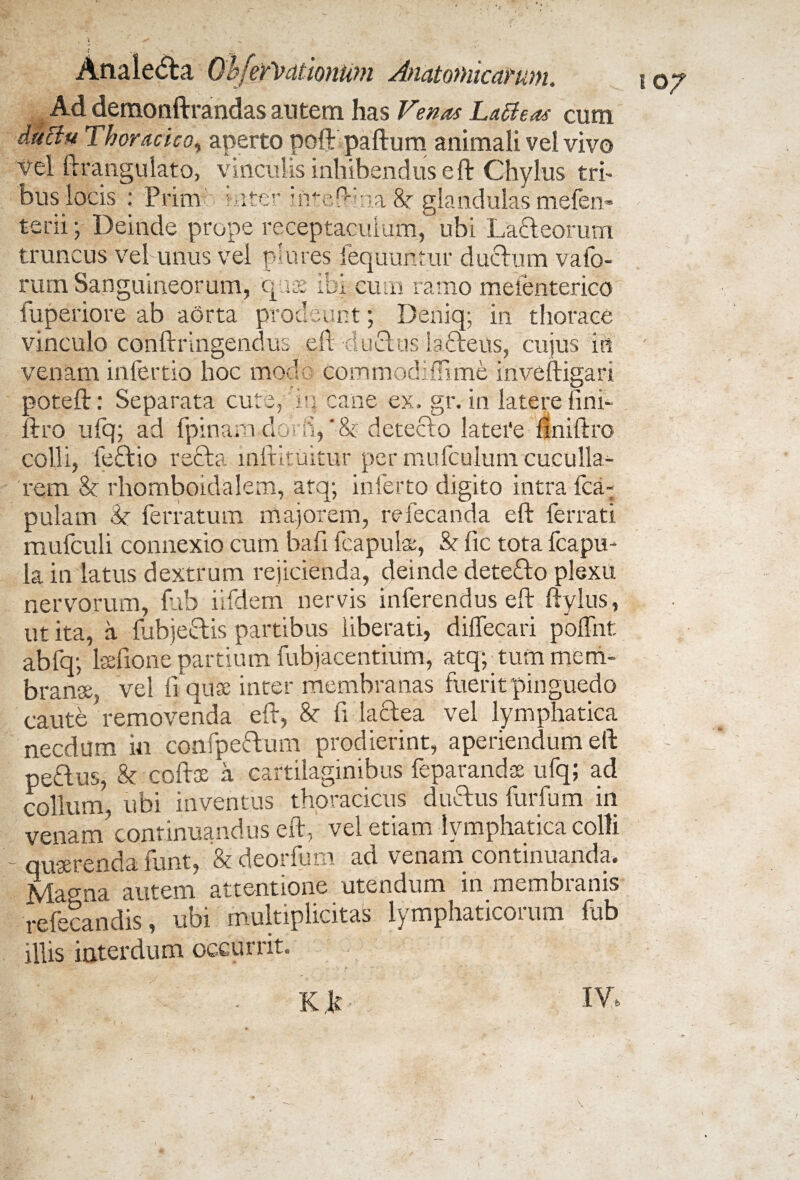 Ad demonftrandas autem has Venas LaBeas cum ductu Thoracico, aperto poft paftum animali vel vivo Vel ftrangulato, vinculis inhibendus eft Chylus tri¬ bus locis : Prim inter mt«n-!im 8r glandulas mefen- terii; Deinde prope receptaculum, ubi Lafteorum truncus vel unus vel plures fequuntur ductum valb- * A a ■Mae ibi. cum ramo meienterico cum Sanguineorum, fuperiore ab aorta prodeunt; Deniq; in thorace vinculo conftringendus eft -ductus iafteus, cujus in venam infertio hoc mod commodiffime inveftigari poteft: Separata cute, in. cane ex. gr. in latere fini- ftro ufq; ad {pinam-doni,'& detecto latere ftniftro colli, fedtio recta inftituitur per mufculum cuculla- rem 8t rhomboidalem, atq; inferto digito intra {ca¬ pulam ferratum majorem, refecanda eft ferrati mufculi connexio cum bafi fcapulae, & fic tota fcapu- la in latus dextrum rejicienda, deinde dete£to plexu nervorum, fub iifdem nervis inferendus eft ftylus, ut ita, a fubjeetis partibus liberati, diffecari poffnt abfq; laelione partium fubjacentium, atqp tum mem¬ branee, vel fi quae inter membranas fuerit pinguedo caute removenda eft, & fi lactea vel lymphatica necdum in confpe&um prodierint, aperiendum eft pe&us, & coftoe a cartilaginibus feparandas ufq; ad collum, ubi inventus thoracicus duftus furfum in venam continuandus eft, vel etiam lymphatica colli quaerenda funt, & deorfum ad venam continuanda. Magna autem attentione utendum in membranis refecandis , ubi multiplicitas lymphaticorum fub illis interdum occurrit. 107 K k IV,