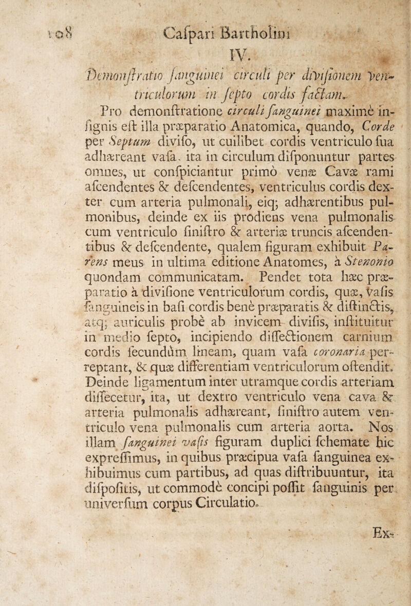 Dtmonflratio Janguinei circuli per dmjhmni )>en~ tnculorum in jcpto cordis faciam. Pro demonftratione circuli fanguinei maxime in- fignis eft illa praeparatio Anatomica, quando, Corde per Septum divifo, ut cuilibet cordis ventriculo fua adhaereant vala. ita in circulum difponuntur partes omnes, ut confpiciantur primo venae Cavae rami alcendentes & defcendentes, ventriculus cordis dex¬ ter cum arteria pulmonali, eiq; adhaerentibus pul¬ monibus, deinde ex iis prodiens vena pulmonalis cum ventriculo finiftro 8r arteriae truncis afcenden- tibus 8c defcendente, qualem figuram exhibuit Pa¬ rens meus in ultima editione Anatomes, a Stenonio quondam communicatam. Pendet tota haec prae¬ paratio a divifione ventriculorum cordis, quae, Vafis fanguineisin bafi cordis bene praeparatis diftinctis, atq; auriculis probe ab invicem divifis, inftituitur in medio fepto, incipiendo diffe£tionem carnium cordis fecundum lineam, quam vafa coronaria per¬ reptant, & quae differentiam ventriculorum offendit. Deinde ligamentum inter utramque cordis arteriam diffecetur^ ita, ut dextro ventriculo vena cava 8? arteria pulmonalis adhaereant, finiftro autem ven¬ triculo vena pulmonalis cum arteria aorta. Nos illam /anguinei vafis figuram duplici fchemate bic exprefiimus, in quibus praecipua vafa fanguinea ex¬ hibuimus cum partibus, ad quas diftribuuntur, ita difpofitis, ut commode concipi poffit fangitinis per imiverfum corpus Circulatio» . .