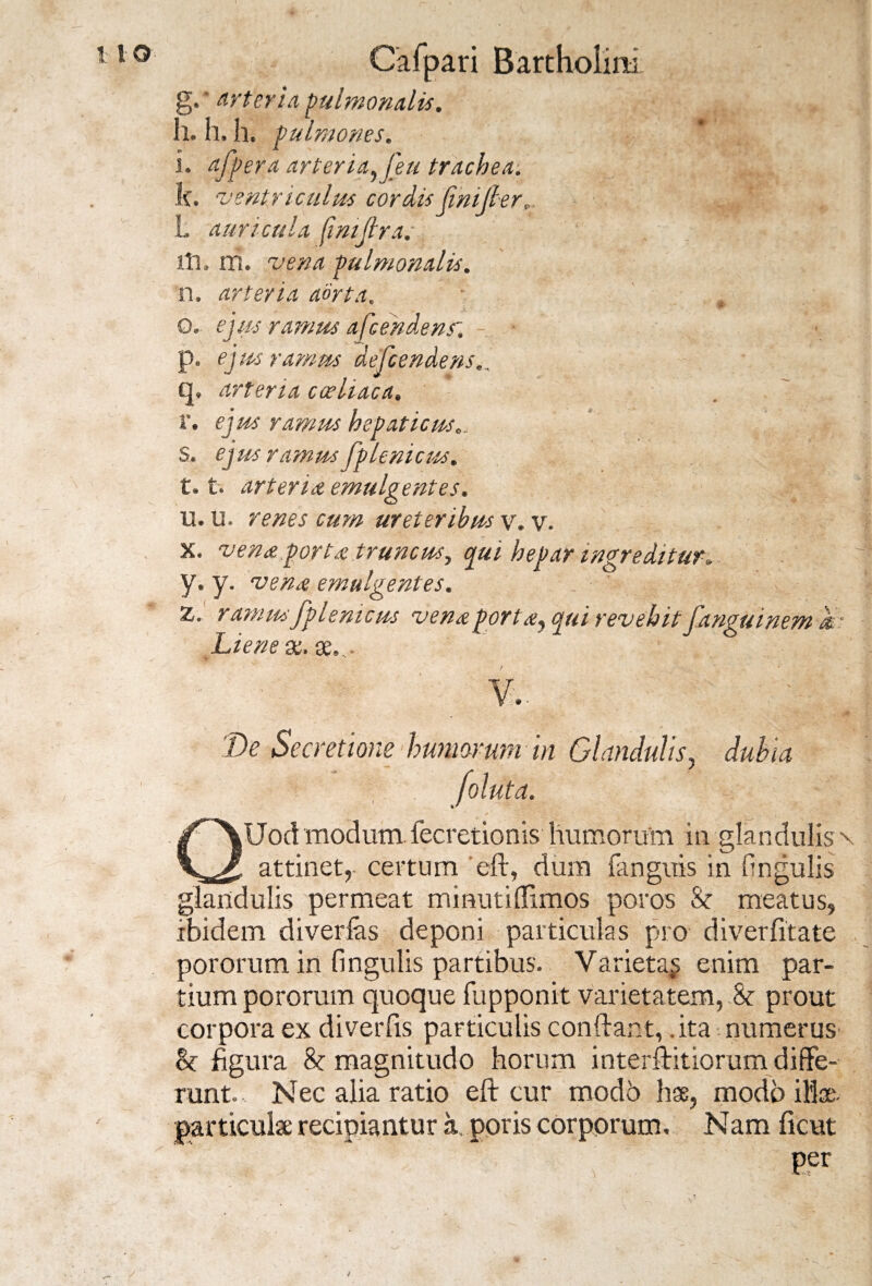 g. ' Arteria pulmonalis. h. h. h. pulmones. i. afpera arteria, feu trachea. k. ventriculus cordis finijler., ■ f' L auricula fimjlra; itu m. vena pulmonalis. n. arteria aorta. 0. ejus ramus a fcendensr. p. ejus ramus aefcendens., q, arteria coeliaca. V. ejus ramus hepaticus.. * fj S. ejus ramus fplenicus. l. 1. arter in emulgentes. u. u. renes cum ureteribus v. v. K. vena porta truncus, qui hepar ingreditur. y* y- vena emulgentes. Z. ramus fplenicus vena porta, qui revehit fanguinem & - Liene st. se. X)e Secretione humorum in Glandulis, foluta. QUod modum fecretionis humorum in glandulis x attinet, certum eft, dum fanguis in lingulis glandulis permeat minutiflimos poros & meatus, ibidem diverias deponi particulas pro diverfitate pororum in fingulis partibus. Varieta^ enim par¬ tium pororum quoque fupponit varietatem, & prout corpora ex diverfis particulis conflant,. ita numerus h figura & magnitudo horum interflitiorum diffe¬ runt. Nec alia ratio eft cur modo has, modo illae, particulae recipiantur a, poris corporum, Nam ficut 1 ' '' 1 ' ’ 'v Per