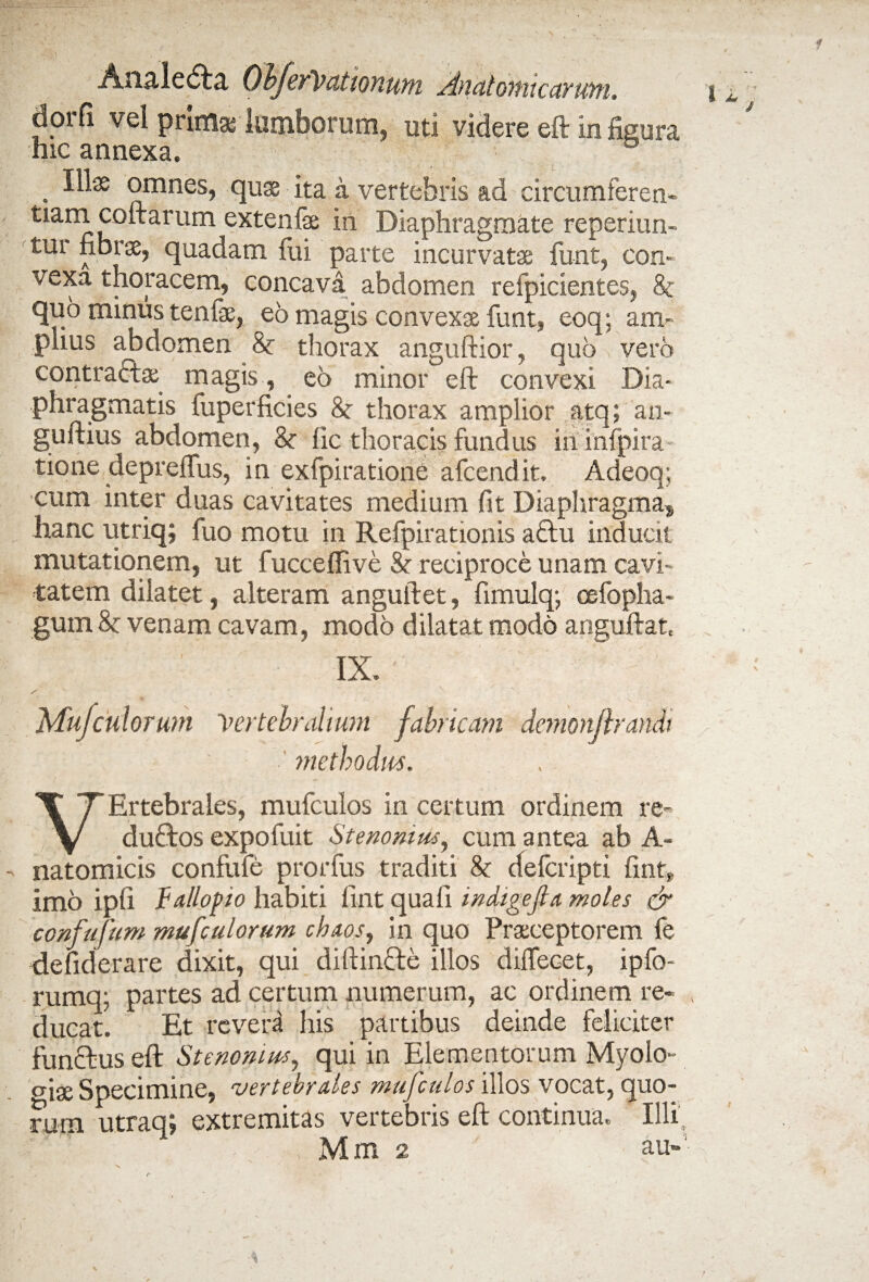 . . \ - Anale&a ObferVut tonum Anatomicarum. dorfi vel primas lumborum, uti videre eft in figura hic annexa. . ooines, quae ita a vertebris ad circumferen- tianau°^arUm exten^'ae *n Diaphragmate reperiun- tui fibrae, quadam fui parte incurvatae funt, con¬ vexa thoracem, concava abdomen refpicientes, 8c quo minus tenlae, eo magis convexae funt, eoq; am¬ plius abdomen 8c thorax anguftior, quo vero r magis, eo minor eft convexi Dia¬ phragmatis fuperficies 8c thorax amplior atq; an- guftius abdomen, & fic thoracis fundus in infpira tione depreffus, in exfpiratione afcendit. Adeoq; cum inter duas cavitates medium fit Diaphragma, hanc utriq; fuo motu in Refpirationis a£fu inducit mutationem, ut fucceflive & reciproce unam cavi¬ tatem dilatet, alteram anguftet, fimulq; oefopha- gum 8c venam cavam, modo dilatat modo anguftat, IX. Mufcui orum Vertebralium fabricam demonjlrandi methodus. X TErtebrales, mufculos in certum ordinem re- V duftos expofuit Stenomus, cum antea ab A- natomicis confufe prorfus traditi & defcripti fint, imo ipfi fallo fio habiti fint quali indige fi a moles & confufum mufculorum chaos, in quo Praeceptorem fe defiderare dixit, qui di (lincte illos diffecet, lpfo- rumq; partes ad certum numerum, ac ordinem re¬ ducat. Et revera his partibus deinde feliciter funcfus eft Stenomus, qui in Elementorum Myolo- o'ix Specimine, vertebrales mufculos illos vocat, quo¬ rum utraq; extremitas vertebris eft continua. Illi, - Mm 2 au-: ■ -i s • < /