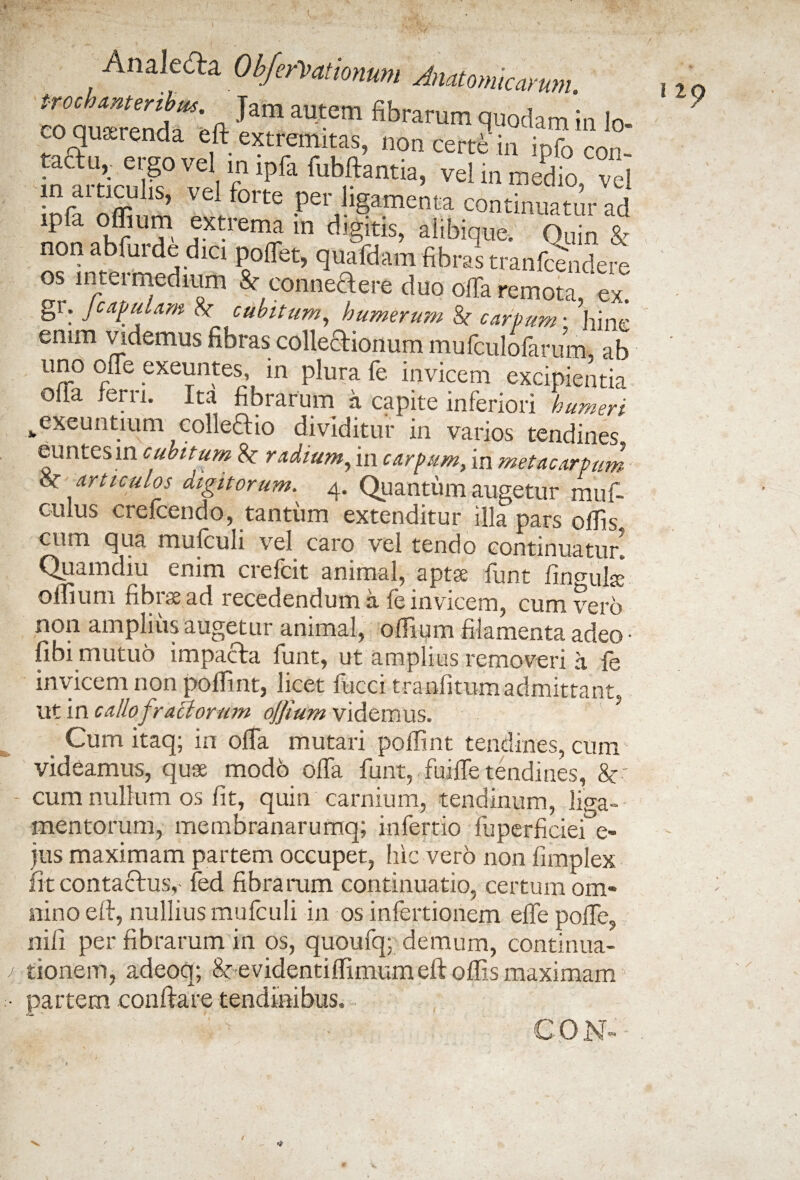 - • V ■ . ” . ' . ' V | Anale&a OtferVatimwm Anatomicarum. rtsh. t? autem fibramm qii°dam!«lo¬ coquerenda elt extremitas, non certe in info cnn taau, ergo vel in ipfa fubftantia, vel in medio vel m articulis, vel forte per ligamenta continuatur ad ‘Pfa ‘jC™?, oxtrema in digitis, afibique. Quin & non abfurde dici pollet, quafdam fibras tranfcendere os intermedium & conneftere duo offa remota ex! gi. Jcapulam cubitum, humerum &- carpum • hine enim videmus fibras collectionum mufculofarum, ab uno offe exeuntes, in plura fe invicem excipientia oua ferri. Ita fibrarum a capite inferiori humeri ^exeuntium colleaio dividitur in varios tendines, euntes in cfultum & radium, in carpum, in metacarpum vt articulos digitorum. 4. Quantum augetur muf- culus crefcendo, tantum extenditur illa pars olfis, cum qua mulculi vel caro vel tendo continuatur» Quamdiu enim crefcit animal, aptse funt iin-mla; olfium fibras ad recedendum a fe invicem, cum vero non amplius augetur animal, olfium filamenta adeo • libi mutuo impacta funt, ut amplius removeri a fe invicem non polfint, licet fucci tranfitumadmittant, ut in callofractorum ojfium videmus. Cumitaq; in offa mutari polfint tendines, cum videamus, quae modo offa funt, fuiffe tendines, &c cum nullum os fit, quin carnium, tendinum, liga¬ mentorum, membranarumq; infertio fuperficiei e- jus maximam partem occupet, hic vero non fimplex iit contactus,- fed fibrarum continuatio, certum om¬ nino elt, nullius mufculi in os inlertionem effepoffe, nifi per fibrarum in os, quoufq; demum, continua¬ tionem, adeoq; & evidentilfimum elt olfis maximam partem conltare tendinibus,- * \ • coN-- 12 /
