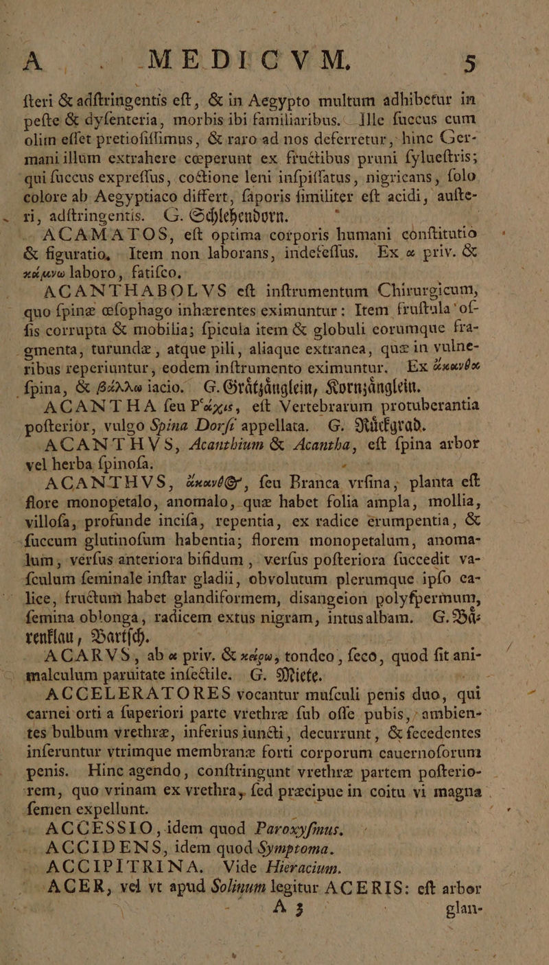 ὁ fteri &amp; adftringentis eft, ὃς in Aegypto multum adhibetur in pefte &amp; dyfenteria, morbis ibi familiaribus. Ille fuccus cum olim effet pretiofiffüimus , &amp; raro ad nos deferretur ,; hinc Ger- mani illum extrahere. coeperunt ex fructibus pruni (ylueftris; “qui fuccus expreffus, co&amp;ione leni infpiffatus, nigricans, folo colore ab Aegyptiaco differt, fäporis fimiliter eft acidi, aufte- ri, adítringentis. G. Schlehendgrn. ᾿ | - ACAMATOS, eft optima corporis humani conftitutio &amp; figuratio, - Item non laborans, indefeffus. Ex &amp; priv. &amp; xxuo laboro, fatifco, . ACANTHABOLVS eft inftrumentum Chirurgicum, τ quo fpinz @fophago inherentes eximantur: Item fruftula 'of- fis corrupta &amp; mobilia; fpicula item &amp; globuli eorumque fra- .gmenta, turundz , atque pili, aliaque extranea, quz in vulne- ribus reperiuntur, eodem inftrumento eximuntur. Ex ἄκονθο fpina, &amp; βάλλω iacio. G.Grätzänglein, Kornzänglein. ACANTHA feu Paxs, eft Vertebrarum protuberantia pofterior, vulgo Spina Dorf appellata. G. Nürkgrad. .ACANTHVS, Acanthium ὃς Acantha, eft fpina arbor vel herba fpinofa. T ACANTHVS, ἄκανθ( δ᾽, feu Branca vrfina,; planta eft flore monopetalo, anomalo, quz habet folia ampla, mollia, villofa, profunde inciía, repentia, ex radice érumpentia, &amp; -fuceum glutinofum habentia; florem monopetalum, anoma- lum; verfus anteriora bifidum , νοτίας pofteriora fuccedit va- fculum feminale inftar gladii, obvolutum plerumque ipfo ca- lice, fructum habet glandiformem, disangeion polyfperinum, femina oblonga, radicem extus nigram, intusalbam. G. 98s renflau , Bartich. polt A CARVS, ab priv. &amp; x&amp;v; tondeo , feco, quod fit ani- ‘ analculum paruitate infe&amp;tile. G. Micke. pn - ACCELERATORES vocantur mufculi penis duo, qui carnei orti a fuperiori parte vrethre fub ofle pubis, ambien- tes bulbum vrethrz, inferius iuncti, decurrunt, ὃς fecedentes inferuntur vtrimque membranz forti corporum cauernoforum penis. Hinc agendo, conítringunt vrethrz partem pofterio- . rem, quo vrinam ex vrethra, fed przcipue in coitu vi magna . femen expellunt. nod MEE, ACCESSIO, idem quod Paroxyfmaus. ACCIDENS, idem quod Symptoma. ACCIPITRINA. Vide Hieracium. ‘ACER, vel vt apud Solinum legitur ACE RIS: eft arbor | ^ - WE TUS glan-