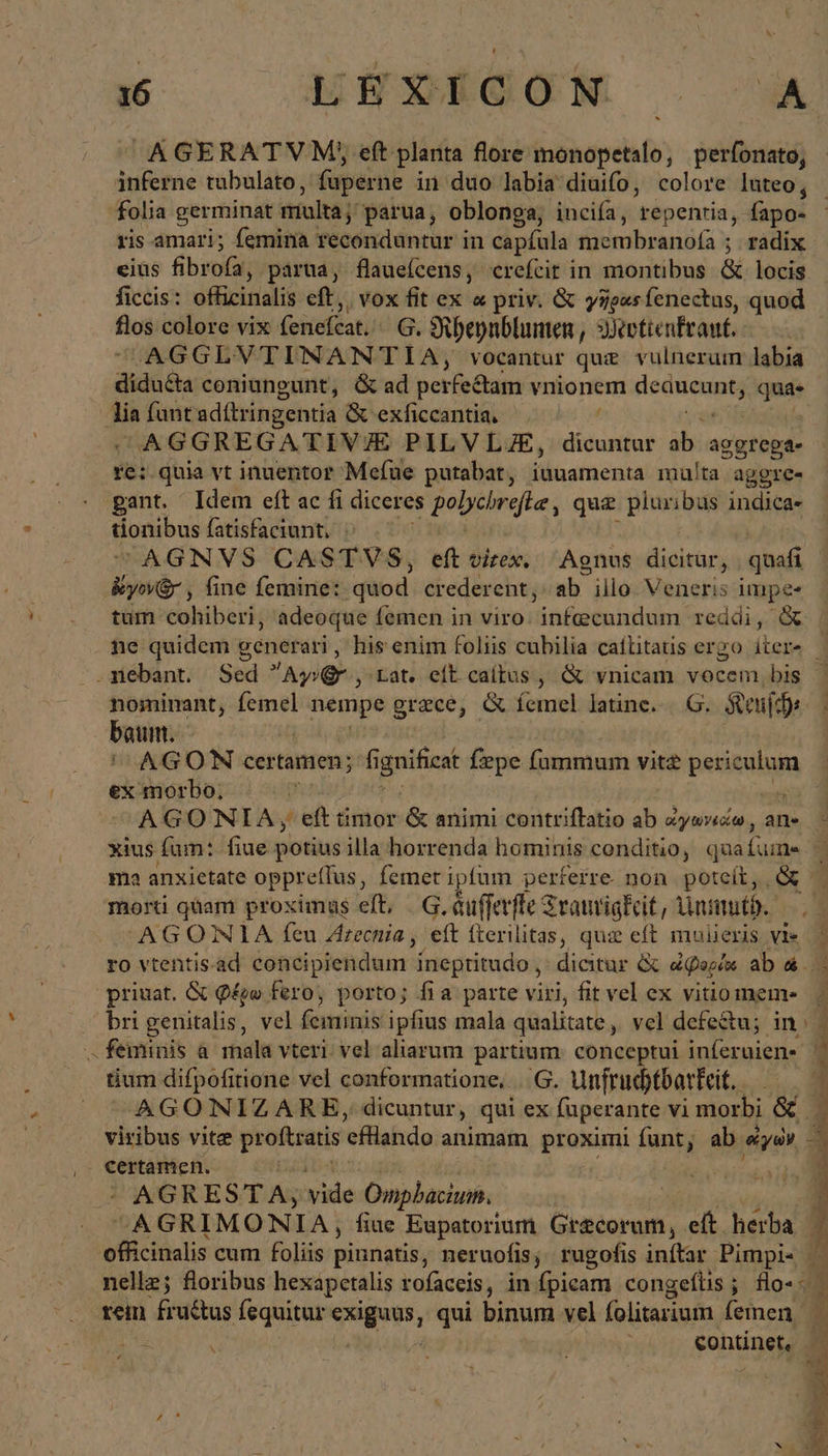 16 EUEBSEGON . A AGERATV M, eft planta flore monopetalo, perfonato, inferne tubulato, faperne in duo labia diuifo, colore luteo, - folia germinat multa; parua, oblonga, incifa, repentia, fapo- ris amari; femina reconduntur in capfula membranofa ; radix eius fibrofai; parua, flaueícens, crefcit in montibus &amp; locis ficcis: officinalis eft,. tira fit ex « priv. &amp; yze«síenectus, quod p colore vix fenefcat.. G. Rheynblumen, Wettenkrauf. AAGGLVTINANTIA, vocantur quz vulnerum labia diduda coniungunt, &amp; ad per rfectam vnionem ie qua- lia funt adítringentia &amp; exficcantia, ku it ^AGGREGATIV/E PILVLZE, dicuntur ab. aggrega- re: quia vt inuentor Mefüe putabat, iuuamenta multa aggre- gant. Idem eft ac fi diceres pobilrefte, que pluribus indica- tionibus fatisfaciunt, ^ .- AGNVS CASTVS, eft virex. Agnus dicitur, quafi - iy ; fine femine: quod crederent, ab illo Veneris impe- tum cohiberi, adeoque femen in viro. infecundum reddi, ὃς ne quidem génerari, his enim foliis cubilia caílitatis ergo iters | . nebant. Sed Ayr , ‚Lat, eft caítus , &amp; vnicam Tatemalis nominant, femel iiic grece, &amp; femel latine... G. Keufh | baum. AGON certamen; fi gnifict fpe fammum vit βειβμίονη ex morbo, | AGONIA; «eft timor &amp; animi contriftatio ab ayanıdo, ane ἢ xius fum: fiue potius illa horrenda hominis conditio, quafume | ma anxietate oppreffus, femet iptum perferre non poteít, Gy - morti quam proximus eft, -G.Aufferfle SrauvigEcit, Unmutd. AGONLA feu Zrecnia , eft fterilitas, quie eft mulieris vie ) ro vtentis.ad concipiendum niegritudoi dicitur &amp; dog aba privat. &amp; Q£go fero; porto; fia parte viri, fit vel ex vitiomem- — brigenitalis, vel fexnimis ipfius mala qualitate vel defectu; in: . feminis à mala vteri. vel aliarum partium. conceptui inferuien« tium difpofitione vel conformatione, Ο, Unfruchtbarkeit, -— AGONIZARE, dicuntur, qui ex fuperante vi morbi &amp; 1 viribus vite ése eflando animam proximi funt, xi ἐγὼν 3 . Certamen. ; TS - AGRESTA, vide ‚Ompbacium, j AGRIMONIA, fiue Eupatorium Grecorum, eit. herba  officinalis cum foliis piungtis; neruofis; rugofis inftar ae i nellz; floribus hexapetalis rofaceis, in fpicam congeflis ; flo-. - xem fructus fequitur Toga. qui binum vel folitarium feinen. : LS continet, Ns