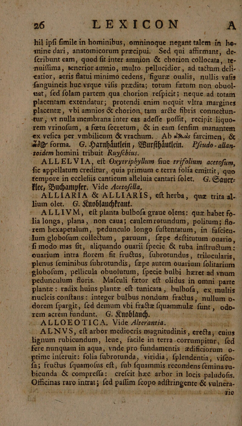 NAI hil ipfi fimile in hominibus, omninoque negant talem-in he- mine dari, anatomicorum precipui. Sed qui affirmant, de- fcribunt eam, quod fit inter amnion &amp; chorion collocata, te- nuiffima, senerior amnio, multo. pellucidior, ad tactum deli- . <atior, aeris flatui minimo cedens, figure oualis, nullis vafis fanguineis huc vsque vifis predita; totum fetum non obuol- wat, fed folam partem qua chorion refpicit; neque.ad totam | placentam. extendatur; protendi enim nequit vltra margines placent, vbi amnios &amp; chorion, tam arte fibris connectun- tur, vt nulla membrana inter eas adeffe poffit, recipit liquo- xem vrinofum, a fetu fecretum, &amp; in eam fenfim. manantem ex vefica per vmbilicum &amp; vrachum. . Ab és farcimen , &amp; . «Agr forma. G. Harnhäutlein ,. Wurfthäutlein. Pfeudo- allan- eidem homini tribuit Ruyfébius. —..- ^ ALLELVIA, eit Oxyzriphyllum fiue. trifolium acesafum, fic appellatum er editur , quia primum e terra folia emittit ; quo tempore in ecclefiis canticum alleluia cantari folet. @. Sauer: fic, 25udampfer. Vide 4cerofélla, .— - ALLIARIA &amp; ALLIARIS, eft herba, qur trita a lium olet. G. Kuoblauchkraut. EN * ALLIVM, eft planta bulbofa graue len: quz. buhet d lia longa, plana, non caua; caulemrotundum, politum; flo- xem hexapetalum, pedunculo longo faftentatum , in fafcicu- :Jum globofum collectum , paruum, fzpe deflitutum ouario, - -fi modo mas fit, aliquando ouarii fpecie. ὃς tuba inítru&amp;tum: ouarium intra florem fit fru&amp;us, fubrotundus , trilocularis, plenus feminibus fubrotundis, fepe autem óuarium. Folter globofum, pellicula obuolatum, fpecie bulbi. hzret ad vnum pedunculum floris. Mafculi aa eft olidus in omni: parte - plante : radix huius plante eft tunicata , bulbofa, ex, multis | nucleis conftans: integer bulbus nondum fractus , nullum o- .dorem fpargit, fed demum vbi fra&amp;z MEER funt y odo- rem acrem ic ut G. Kuoblaud. ALLOEOTICA. Vide Alzerantia.. dude sb d —ALNVS, eft arbor mediocris magnitudinis , ere&amp;a; cuius - . lignum rubicundum, leue, facile in terra. -corrumpitür, fed fere nunquam in aqua, ua, pro fundamentis zdificiorum ο- 'ptime inferuit: folia fubrotunda, viridia, fplendentia, vifco- fa; fructus (quamofus eft, fub fquammis recondens femina tu- bicunda. &amp; comprefla : shefeit hzc arbor in locis paludofis. simt raro vais Me palim is Beinen &amp; vulnera- RAN EN A WE do M 201 uut rg 1 ἣ f FI