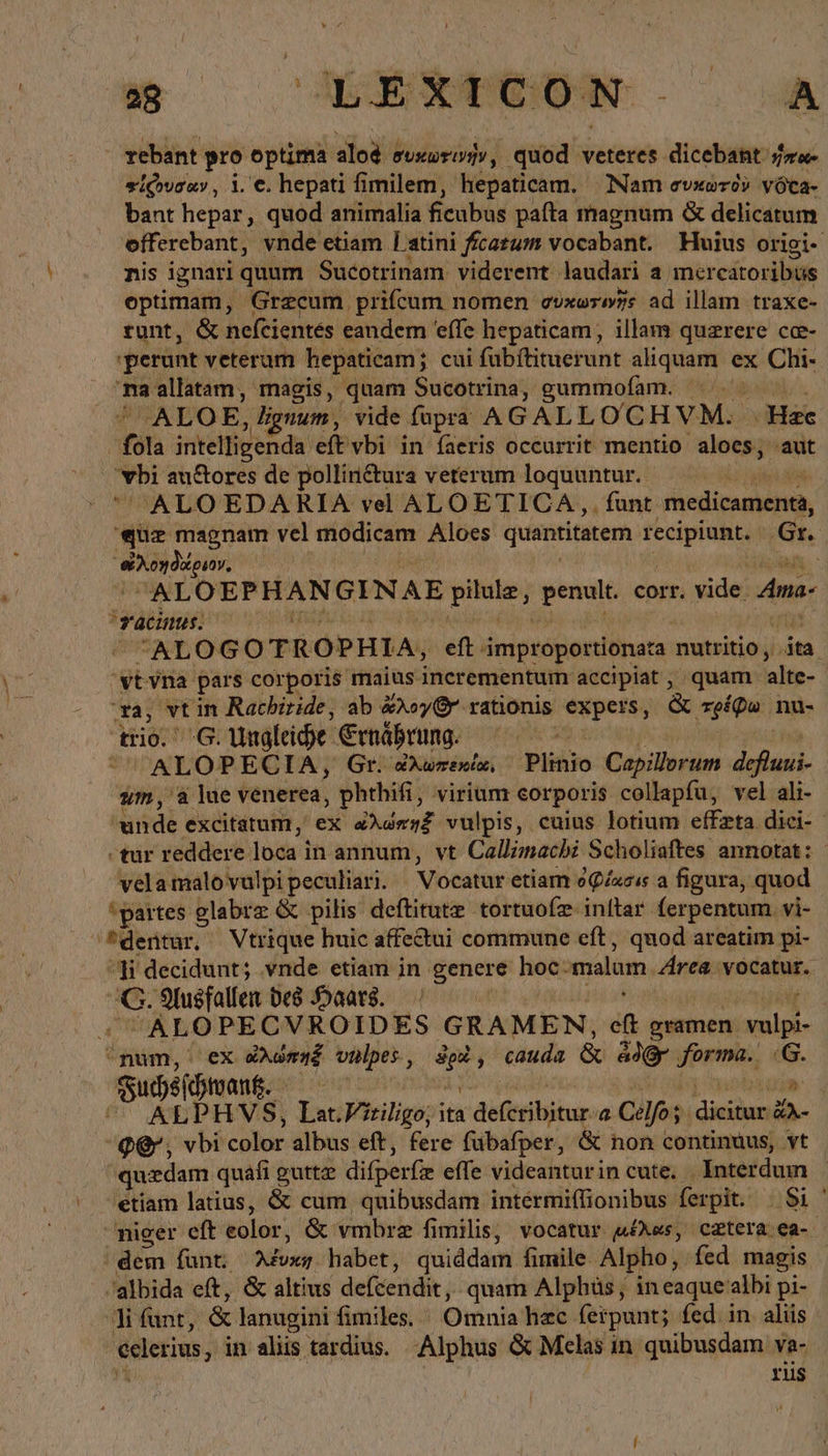 rebant pro optima εἷος ὁ συκωτινὴν, quod veteres dicebant'srw- «ἰῷνσαν, i. €. hepati fimilem, hepaticam. Nam evxoró» vóca- bant hepar, quod animalia ficubus paíta magnum &amp; delicatum offerebant, vnde etiam Latini ficatum vocabant. Huius origi- nis ignari quum Sucotrinam viderent laudari a. mercatoribus optimam, Grzcum prifcum nomen σύκωτινῆς ad illam traxe- runt, &amp; nefeientes eandem 'effe hepaticam, illam querere cce- perunt veterum hepaticam; cui fubítituerunt aliquam ex Chi- maallatam, magis, quam Sucotrina, gummofam. ALO E, liguum, vide fopra AGALLOC HVM.. ας fola intelligenda eft vbi in faeris occurrit mentio inan aut vbi au&amp;ores de pollirnctura veterum loquuntur. | ALOEDARIA vel ALOETICA,. funt. BR ine «uz magnam vel modicam Aloes quen recipiunt. Gr. Nds; 40V, ALOEP HANGENAE ΜΙΝ : pent corr. vide. Ama- racinus. ALOGO TROPHIA Ὗ eft improportionaza nutritio y ita \ vt vna pars corporis maius incrementum accipiat , /quam alte- xa, vt in Rachiride, ab Xxoy Or rationis expers, &amp; oiu na- trio. 6. Ungleihe Ernährung. 1 ALOPECIA, Gr. dXuwrreslat, Plihie Capillorum rv um, a lue venerea, phthifi, virium corporis collapfu, vel ali- unde excitatum, ex ὠλώπηξ vulpis, cuius lotium effzta diei- - tur reddere loca in annum, vt Callimachi Scholiaftes annotat: vela malo vulpi peculiari. Vocatur etiam ὀφίασις a figura, quod partes glabrz &amp; pilis deftitute tortuofz inftar ferpentum vi- '®denitur, Vtrique huic affectui commune eft, quod areatim pi- ^H decidunt; vnde etiam in genere hoc. malum Area vocatur. σ. Nusfallen des Haars. — « ALOPECVROIDES a &amp; gramen vupi- Upin ἢ ex ἀλώπηξ vulpes, xi cauda &amp; a ir. Suheihtuang. — λ © ALPHVS, Lat.Viriligo; τὰ ΜΎΡΩΝ a Celfos idiidun &amp;X- QQ', vbi color albus eft, fere fübafper, &amp; non continuus, vt quedam quafi guttz difperfze effe videanturin cute. Interdum - 'etiam latius, &amp; cum quibusdam intermiffionibus ferpit. | $i ' piger eft eolor, &amp; vmbrz fimilis, vocatur μέλας, catera.ea- | dem funt. Hl habet, quiddam fimile. Alpho, fed magis albida eft, ὃς altius defcendit, quam Alphüs, in eaque albi pi- li funt, &amp; lanugini fimiles. Omnia hac feipunt; fed. in. aliis celerius, in aliis tardius. Alphus &amp; Melas in quibusdam va- i rüs