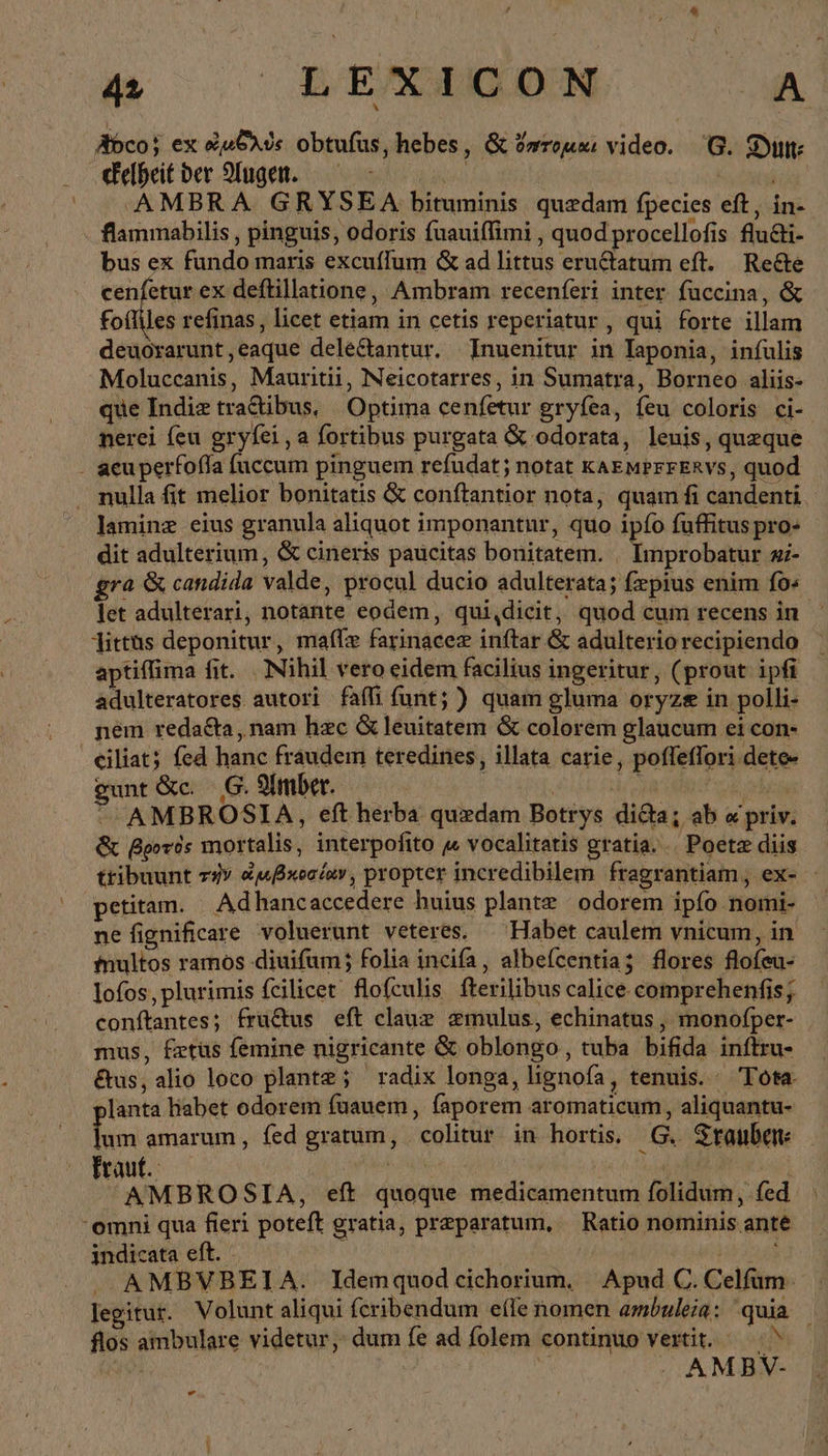 Abco; ex οωδλὺς obtufus, hebes, &amp; ὄπτομαι video. G. Stt: debetber θ΄. DENM -AMBR A. GRYSEA bituminis quzdam fpecies eft, in- flammabilis , pinguis, odoris fuauiffimi , quod procellofis fluti- bus ex fundo maris excuffum &amp; ad littus eruCtatum eft. Rede cenfetur ex deftillatione, Ambram recenferi inter füccina, &amp; foíliles refinas, licet etiam in cetis reperiatur, qui forte illam deuorarunt,eaque delé&amp;antur. Inuenitur in Iaponia, infulis Moluccanis, Mauritii, Neicotarres, in Sumatra, Borneo aliis- que Indie tra&amp;tibus, Optima cenfetur gryfea, feu coloris ci- nerei feu gryfei , a fortibus purgata &amp; odorata, leuis, queque nulla fit melior bonitatis &amp; conftantior nota, quam fi candenti. laminz eius granula aliquot imponantur, quo ipfo fuffitus pro- dit adulterium, &amp; cineris paucitas bonitatem. . Improbatur zi- rà &amp; candida valde, procul ducio adulterata; fepius enim fo« let adulterari, notante eodem, qui,dicit, quod cum recens in “τὰς deponitur, maflz farinacez inftar &amp; adulterio recipiendo aptiffima fit. . Nihil vero eidem facilius ingeritur, (prout ipfi adulteratores autori faífi funt; ) quam gluma oryze in polli- nem reda&amp;a , nam hzc &amp; leuitatem &amp; colorem glaucum ei con- ciliat; fed hanc fraudem teredines, illata carie, poffeffori dete- gunt &amp;c. .G. Amber. | ep den ^. AMBROSIA, eft herba quedam Botrys didta; ab « priv. &amp; βροτὸς mortalis, interpofito « vocalitatis gratia. . Poetz diis tribuunt τὴν «xciv, propter incredibilem fragrantiam, ex- petitam. Adhancaccedere huius plante | odorem ipfo nomi- ne fignificare voluerunt veteres. — Habet caulem vnicum, in multos ramos diuifum; folia incifa, albefcentia; flores flofeu- lofos, plurimis fcilicet. flofculis. fterilibus calice comprehenfis; conftantes; fruQtus eft clauz zmulus, echinatus, monofper- mus, fztüs femine nigricante &amp; oblongo, tuba bifida inftru- &amp;us, alio loco plante; radix longa, lignofa, tenuis. Tota lanta liabet odorem fuauem, faporem aromaticum , aliquantu- lum amarum, fed gratum, colitur in hortis. G. Trauben hot js Sce | AMBROSIA, eft quoque medicamentum folidum, fed omni qua fieri poteft gratia, preparatum, Ratio nominis anté indicata eft. - Ü | | sad J» AMBVBEIA. Idemquod cichorium. Apud C. Celfum- legitur. Volunt aliqui fcribendum efle nomen ambuleia: quia flos ambulare videtur, dum fe ad folem continuo vertit. — ^ : . AMBV- -
