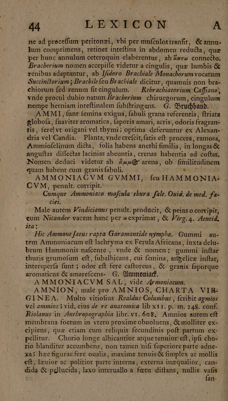 m. — LUUDPCON A RER . me ad proceflum peritonei, vbi per mufculostranfit, &amp;annu- . dum comprimens, retinet inteftina in abdomen reducta, quz per hunc annulum ceteroquin elabérentur, ab ἅπστω connecto, Bracherium nomen accepifle videtur a cingulis, que lumbis &amp; rénibus adaptantur, ab l/idero Brachiale Monachorum vocatum Succinctorium ; Brachile eu Brachiale dicitur, quamuis non bra- chiorum fed renum fit cingulum. Rebrachiatorium, Caffiano', vnde procul dubio natum Bracherium chirurgorum, cingulum - nempe herniam inteftinalem fübftringens. G. Bruhband. .AMMI, funt femina exigua, fabuli grana referentia, ftriata &amp;lobofa, fuaviter aromatica, faporis amari, acris , odoris fragran- tis, ferel vt origani vel thymi; optima deferuntur ex Alexan-- | dria vel'Candia. Planta, vnde crefcit, fatis eft procera, ramosa, Ammiofelinum di&amp;a, folia habens anethi fimilia, in longas ὃς anguftas diílectas lacinias abeuntia, crenas habentia ad coftas, Nomen deduci videtur ab Zur arena, ob fimilitudinem quam babent cum granis fabuli. hi s e AMMONIACVM GVMMI, fuHAMMONIA- CVM, penult. corripit. i FEN o0 Cumque Ammoniaco mafcula'chura fale. Ouid. de med. fa- ciei. | BL Male autem Vindicianus penult. producit, &amp; peius o coixipit, €um Nicander vacem hanc per e exprimat , &amp; Firg. 4. Aeneid. itat j ? i V ) Hic Ammone fatus rapta Garamantide nympha. Gummi au- tem Ammoniacum eft lachryma ex Ferula Africana, iuxta delu- brum Hammonis nafcente , vnde &amp; nomen: gummi inftar thuris grumofum eft, fubalbicans, eui femina, arelice inftar, Antersperfa funt ; odor eft fere caftoreus,. &amp; grauis faporque aromaticus &amp; amarefcens- G. Sftmoniadf. | | AMMONIACVM SAL, vide Armoniacum. AMNION, male pro AMNIOS, CHARTA VIR- GINEA. Multo vitiofius Realdus Columbus , fcribit agmios vel ammios 5 vid, eius de re anatomica lib x11. p. m. 248. cönf. Riolanus in Anthbropograpbia libr. v1. 668, Amnios autem eft . membrana foetum in vtero proxime obuoluens, &amp; molliter ex- €ipiens, quz etiam cum reliquis fecundinis poft partum ex: pellitur. Chorio longe albicantior atque tenuior eft, ipfi cho- rio blanditer aceumbens, non tamen nifi fuperiore parte adne- | xa; hecfiguráe fere oualis, maxime tenuis &amp; fimplex ac mollis eft, leuior ac politior parte interna, externa inzqualiór, can- dida &amp; pgllucida, laxo interuallo a feetu. diftans, nullis. vafis ἣν fan-
