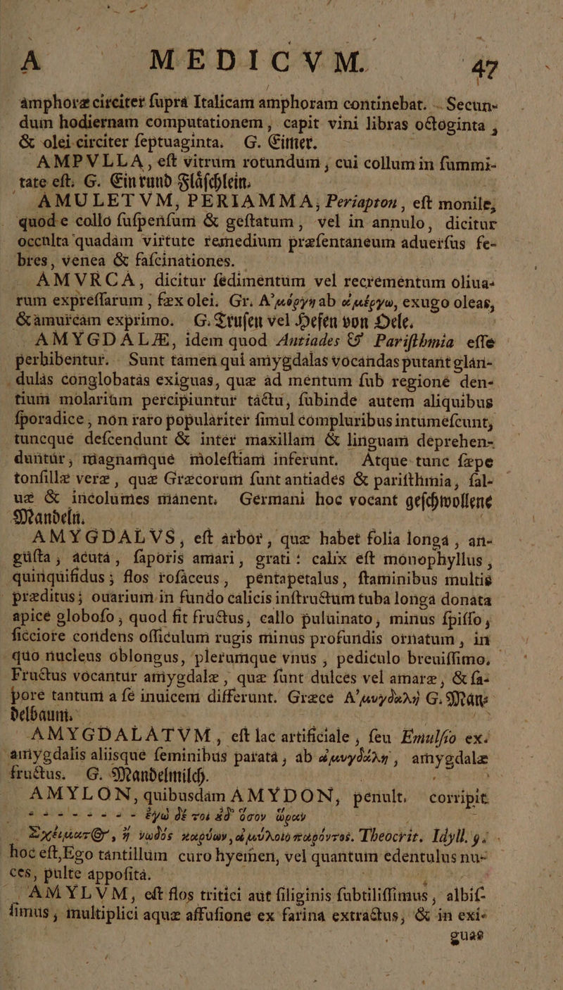 me A MEDICVM. 47 / amphorz circiter fupra Italicam amphoram continebat. .. Secun- . dum hodiernam computationem , capit vini libras octoginta , &amp; olei circiter feptuaginta. G. Eimer, ; .AMPVLLA , eft vitrum rotundum , cui collum in fummi- tate eft, 6. Eintund Fläfchlein. ! J AMULET VM, PERIAMMA, Periapron , eft monile, . quode collo fufpenfum &amp; geftatum , vel in annulo, dicitur occhlta quadàm virtute remedium prefentaneum aduerfus fe- bres, venea &amp; fafcinationes. - AMVRCA, dicitur fedimentum vel recrementum oliua- rum expreffarum ; fex olei. Gr. Aluopynab fpyo, exugo oleas, Gamuircam exprimo. Οἱ Trufen vel Hefen von Dele. | AMYGDALE, idem quod Zuriades &amp; Pariflbmia effe perbibentur. Sunt tamen qui aniygdalas vocandas putant glan- ‚ duläs conglobatäs exiguas, que ad mentum fub regioné den- tium molarium percipiuntur táétu, fubinde autem aliquibus fporadice , non raro populäriter fimul compluribus intumefcunt, tuncque defcendunt &amp; inter maxillam ὃς linguam deprehen- duütür, magnamque moleftiam inferunt, Atque tunc fepe tonfille verz , que Grecorum funt antiades ὃς parifthmia, fal- Ὁ us &amp; incolumes manent: Germani hoc vocant gefchwollene Mandeln, Eug. | AMYGDALVS, eft arbor, quz habet folia longa , an- güíta; acuta, faporis amiari, grati: calix eft monophylius , quinquifidus; flos rofaceus, pentapetalus, ftaminibus multis praeditus; ouariuim in fundo calicis inftru&amp;um tuba longa donata apice globofo , quod fit fru&amp;us, callo puluinato, minus fpiffo , ficiore coridens ofliculum rugis minus profundis ornatum , in quo nucleus oblongus, plerumque vnus , pediculo breuiffimo, - Fructus vocantur amygdale , quz funt dulces vel amare , &amp; fa- pore tantuni a fe inuicem differunt. Grece. Αὐμυγθαλὴ G. Man: delbauni‘ v4 πῇ Ἰὰς AMYGDALATVM, eftlac artificiale, feu. Emulfo ex. amygdalis aliisque feminibus parata , ab auvydary, amygdalz fructus. Θ᾽ Mandelmild). zs v AMYLON, quibusdan AMYDON, penult, corripit (209 9 9.2 2s - ἐγὼ δὲ voi £d ὅσον ὥραν ᾿ ; ἷ 0 Ὡ χέιματί( δ᾽, ἢ vwdos xotg Ua οὐ mu Aal) mupovros. Theocrit. Idyll. 9. hoc eft;/Ego tantillum. curo hyemen, vel quantum edentulus nu- ces, pulte appofita. | ko qs Dé Un: ote a ., AM YLVM, ett flos tritici aut filiginis fubtiliffimus , albif- imus ; multiplici aquz affufione ex farina extra&amp;us; &amp; in exi« guae