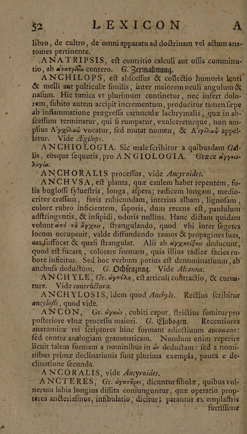 b. 0 LEXHGONO (0A libro, de cultro, de^omni ADRaraE ad doctrinam nl aduma ana- tomes pertinente, .ANA T RIPSIS, eft contritio calculi aut offi comminu- tio, ab everpiGu contero. G. Zermalmuug. | ANCH ILOPS, eft abfceffus &amp; collectio humoris lenti &amp; melli aut pulticulz fimilis, inter maiorem oculi angulum ὅς, nafum.. Hic tunica vt plurimum continetur, nec infert dolo- rem, fübito autem accipit incrementum, producitur tàmenfrpe. ab infammatione pregrefía caruncule lachrymalis , quz in ab- fceffum terminatur, qui fi rumpatur, exulcereturque , non am- : plius Αὐγχίλωψ vocatur, fed mutat nomen, &amp; A M appel- ‚ latur. Vide ZEgileps.- . ANCHIOLOGIA. Sie malefcrbitur ἃ quibusdam Gal- lis, eosque fc ak pre AN GIOLOGIA. Grace ya λογία. ANCH o RALIS proceflus, vide Ancyroides. ANCH VSA , eft planta, quz caulem habet repentem, fo- lia bugloffi fylueftris, longa, afpera; radicem longam , medio-. | criter craffam, foris rubicundam, interius albam , lignofam , colore rubro inficientem, faporis, dum recens eft, paululum: adftringentis, &amp; infipidi, odoris nullius, Hanc dictam quidam. voluntzzó τῷ ἄγχειν, ftvangulando, quod vbi inter fegetes loeum occupauit, valde diffundendo ramos &amp; pr rDpagihes uas, - eas fuffocat &amp; quafi ftrangulat. Alii ab οὐγχασίξειν deducunt;' quod eft fücare , colorare formam , quia illius radice facies ru- bore inficitur. Sed hoc verbum potius eft denominatiuum, ‚ab anchufa dedu&amp;um, G. Dchfenzung. ' Vide Alcanna: \ | ANCH YLE, Gr. ὠγκύλη, eft àrticuli cofitráctio, &amp; curug- ture. Vide conzrü&amp;ur a. ANCHYLOSIS, idem quod Anchyle Reds fcribitur ancylofífs, quod vide. — : ANCON, Gr. Zyxw» , cubiti deo Πυθίας Allee pro » pofteriore vInz proceflu maiori. G. Elubogen. — Recentiores. anatomiez rei fcriptores hinc formant adie&amp;tiuum anconeus: - fed. contra analogiam grammaticam. Nondum enim reperire | licuit talem formam a nominibus in ὧν deductam: fed a nomi- nibus primz declinationis funt plurima Sin pauca e de- à - Clinatione fecunda.  ANCORALIS, vide Ancyroides. ENG ἌΧ ΝΟΕ ΚΕ, δὲ ἀγκτῆρες, dicunturfibulz ^batbüs ad r nerum labia longius diffita coniunguntur, quz operatio, prop- - terea anteriafm mos, infibulatio, dicitur; quus ex emplaftris ᾿