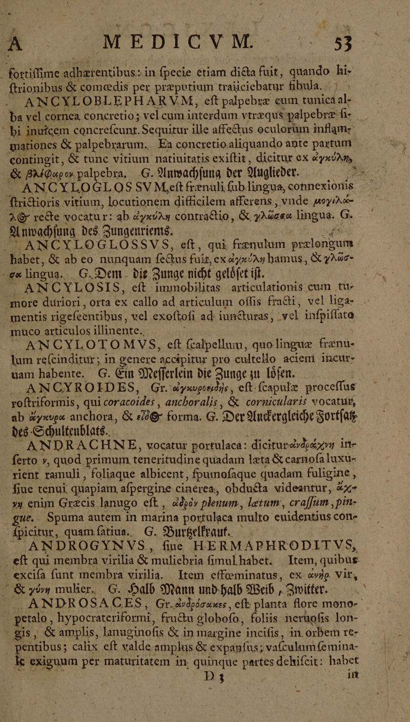 fortiffime E obs: in fpecie étiam di&amp;a nt. quando hi- ftrionibus &amp; comedis per prepotium traüciebatur fibula. ANCYLOBLEPHARVM, eft palpebzz cum tunica al- bi i nufcem 1 A εὐαίων, Sequitur ille affe&amp;tus oculorum inflamz mationes &amp; palpebrarum. Ea concretio. aliquando ante partum contingit, &amp; tunc vitium natiuitatis exiftit, dicitur ex ἀγκύλη, _ ANCYLOGL OS SV M,eft frenuli (üb lingua, connexionis - flri&amp;tioris vitium, locutionem difficilem afferens , vnde μογίλώ- Anwachfung des Zungenriens. ^ ANCYLOGLOSSVS, eft, qui frenulum pralongum habet, &amp; ab eo nunquam fe&amp;us fait, ex ἀγκύλη hamus, X γλῶσνο -e«lingus. G.Dem. die Zunge nicht geldfet if. ANCYLOSIS, eft immobilitas articulationis cum tur more duriori , orta 2 callo ad articulum oflis fracti, vel liga- mentis rigefeentibus, vel exoftofi ad: iun&amp;uras , vel infpiflata » muco articulos illinente., ANCYLOTOMVS, eft fcalpellum, quo lingue frznu- lum re(cinditur; in genere accipitur pro cultello aciem ihcur- uam habente. G. Ein Mefferlein bie Zunge zu Töfen. ab ἄγκυρα. anchora, &amp; de forma. G. Der Andkergleiche Sort(atg des-Schultenblate.. ANDRACHNE, vocatur portulaca: ᾿ἄϊεϊξαν οὐνδραχνη ine rient ramuli , foliaque albicent , fpumofaque quadam fuligine , fiue tenui, quapiam afpergine cinerea, obdu&amp;ta videantur, Xx »y enim Grzcis lanugo eft, ἀδρὸν plenum, letum, craffuim ,pin- gue.. Spuma autem in marina portulaca multo euidentius cone ipicitur, quam fatius. — G. Burkelfrauf.. E ANDROGYNVS, fiue H. ERMAPHRODITVS, -. eft qui membra virilia &amp; muliebria fimul habet. Item, quibus | excifa funt membra virilia. Item effeeminatus, ex ἀνὴρ, Vit, / δὰ γύνη mulier, G. Halb Mann und-halb Weib , Zwitter. ᾿ | gis, &amp; amplis, lanuginofis &amp; in margine incifis, in. orbem re- pentibus; calix. eft AER amplus &amp; expanfus; Dua a ἈΠ ind. kc exiguum per maturitatem 1n. quinque partes dehifcit: habet D3 - dit -