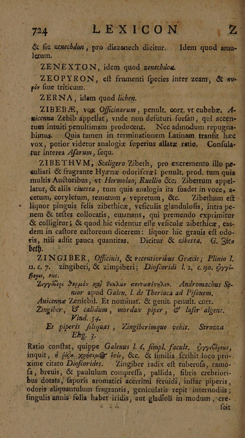 mp ΑἸ ΧΥΒΟΝ 6... letum. | XN S MEC n ur ZENEXTON, idem quod zenecbdoa. S. ET ei» fiue triticum. Ais ZERNA, idem quod lichen. vox, potior videtur analogie fuperius allatz ratio. Confula- iur interea Afarum , fequ. Ἢ euliari &amp; fragrante Hyznz odoriferzj penult, prod. tum quia multis Auctoribus , wt. Hermolao, Ruellio &amp;c; . Zibettum appel- latur, &amp; aliis ciuezza , tum quia analogia ita füadet in voce, a- . liquor pinguis felis zibethice, veficulis glandulofis, intra pe- nem &amp; teftes collocatis, emanans, qui premendo. exprimitur tis, nifi adfit pauca quantitas. — Dicitur &amp; ziberta, G. Sita Deib. ws Begıs, zus. ior apud Galen, l. de Theriaca ad Pifonem, Zingiber, t9 calidum , mordax piper , © laftr! algens. AP itd. 4. y ar | nt PAPE 3 Ἢ ( ‚Ratio conftat, quippe Galenus 1. δ, fimpl. faculr. ἀγγιδέρεως, xime citato Dioftorides. ^ Zingiber radix eft tuberofa, ramo- fa, breuis, &amp; paululum compreffa, pallida, fibris erebriori- „bus dotata, faporis aromatici acerrimi feruidi, inftar piperis, : odoris aliquantulum fragrantis, geniculatis repit internodiis ; : ᾿ | fet ,