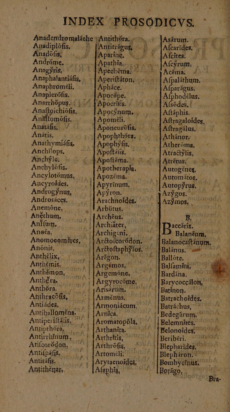 SEPA, ee a j y ; v^ * 4 INDEX PROSODICVS. M Aided maiale 'Antithéra, - d lAsärum. Ἂ τὴν aas Amadiplófis . lAntitrágug, ^. 1-7] Afcarides. ἢ TER Anadofi ἘΝ... s [Aparing, %. αἰ * [Afcites. Andröme, „fApathia..... 4». . |Afeyrum;. Anagyyis, 5711 PApeohenias 6. t N Acama, / Anaphalantiáfis 1j Ὁ + | Aperiftáton, : ot 1 Afpaläthum, ' Anaphromüli, Ὁ paa | Afparágus. Anaplerófis. | Apocépe.. Afphodélus, , Anarrhópus. | |. 55 - Ana eh ΕΥ̓ΡῪ An Romans d TA poóorifis. &amp;. 1 Ὁ} Apocynum. . . TET Aftäphis. : Ri Apoméli _ Pi Aftragaloides, So - Anatáfis;. |Aporneurófis.. ^ [Aftagilus -— - Anátis, Bertone ix (Athünety D. Anathymiáfis — lApophyfiss ^ - [Atheróma | * . Anchilops. Apoftahis.. +. T Atra&amp;ylis, Anchyle. . ^: :; jApoftéma.:' Pat a Atrérus; Anchylöfis. | Apotherapia. Autogeneg, Ancylotómus, |... Apozéma.- , ;[Automátog, .. , Ancyroides, ^ || Apyrinum,. Ἢ M ‚Autopfrus, pog ἯΙ Androgynus, Apyron. OE WMZNEDS: LN e Andtosáces. | Arachnoides. ^^. Azfmps] TN ut Anemóne, | ἐν Acbütus c CAE A Anétham, 2, 0[Archeus EIC UB T NAE Aulo. rol Archüter, : ^ R**. | ^ Anata;. or 0 Archig:ni. . D Balanéum, ὁ Anomoeembes, * Ar&amp;olcoródon. | d Balanocaftinum.  Anon S ἡ, Arttoftaphflos, - ^ Balánus: ^ae ^^^ Anthilix,. 7, MfAregon.  C77 1 Ballóte, x LH Anthémis. ;j|Argémos, ΟῸ [Βα μά | Anthemon, τον '1Argemöne, '- ^ |Bardina. Anthgra 30 Argyrocóme, 1:31 Barycoccálon, ^ Anthöra. / . ^. |jArisayüm, ; .' ^ |Batinon. ^ Ü Anthracófis, | |Armenus. SU Batrathoidés, Antiades, 2: d donet >| Baträchus, 3 Antiballoméne. * αἱ Arnica, | τς n Bedegärum. ^ pav. Antiperiltális, ^ ent Aromatopóls, ^ D || Belemnites. nd zd Annpthóra, Hit ;!Arthanita. ^^ ][Belonoides; ^ ^^. Antirrhinum, | Arthritis; ^ 7^ 7] Beriberi. ^79 Atifcoródan, ' | |Arthrófis, hai Ἢ . | HBlepharideg, ^ ἐς Antifpäfis, — Ἧ | JArtomili; ^ |a 1 Blephäron. SAWEARR N 7 00, Arytaenoides, ον ,|Bembyetnus, ' adr Antithenan,. Afaphia,  δὼ 44 ina he. qot ᾿ς -Bra-