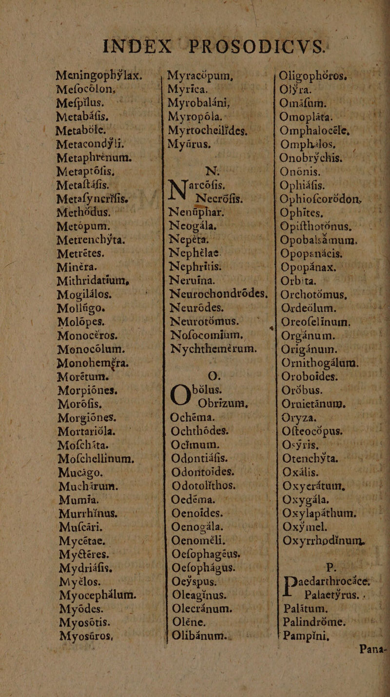 Meningophylax. Mefocölon, Mefpilus. ^ Metabáfis, Metaböle. Metacondyli. Metaptófis, Metaítáfis. - Metafynerifis, Methödus. ἡ Metopum. Metrenchyta: Metretes. Minera. Mithridatium, Mogilálos. Mollügo. Molopes. | Monociros. Monocolum. ‚Monohemfra. Morétum. Morpiónes. Moröfis. Morgiönes. Mortariöla. Mofchita. Mofchellinum. | Mucigo. Muchirum. Mumia. | Murrhínus. |. Mufcàri. My&amp;éres. ἢ Mydriáfis, Myelos. : Myocephàlum. . Myödes. Myosötis. Myosüros, N. Nephritis. ©. Ochema. Ochthödes. Ocinum. | Oedéma. : Oenoides. - Ocfophagéus. | Ocfophágus. Oléne. Olyra. Omifün. ^| Omphalocéle, Omphilos, Onobrychis. Ononis. Opopsnácis, Orbita. Orchotómus, - Ordeölum. - Origánum. Ornithogálum. Oróbus. Oruietinurm. Oryza. O:yris. - Otenchyta. Oxális. Oxy mel. | Oxyrrhodinum, m Palaetyrus. .. Palindróme. CUP