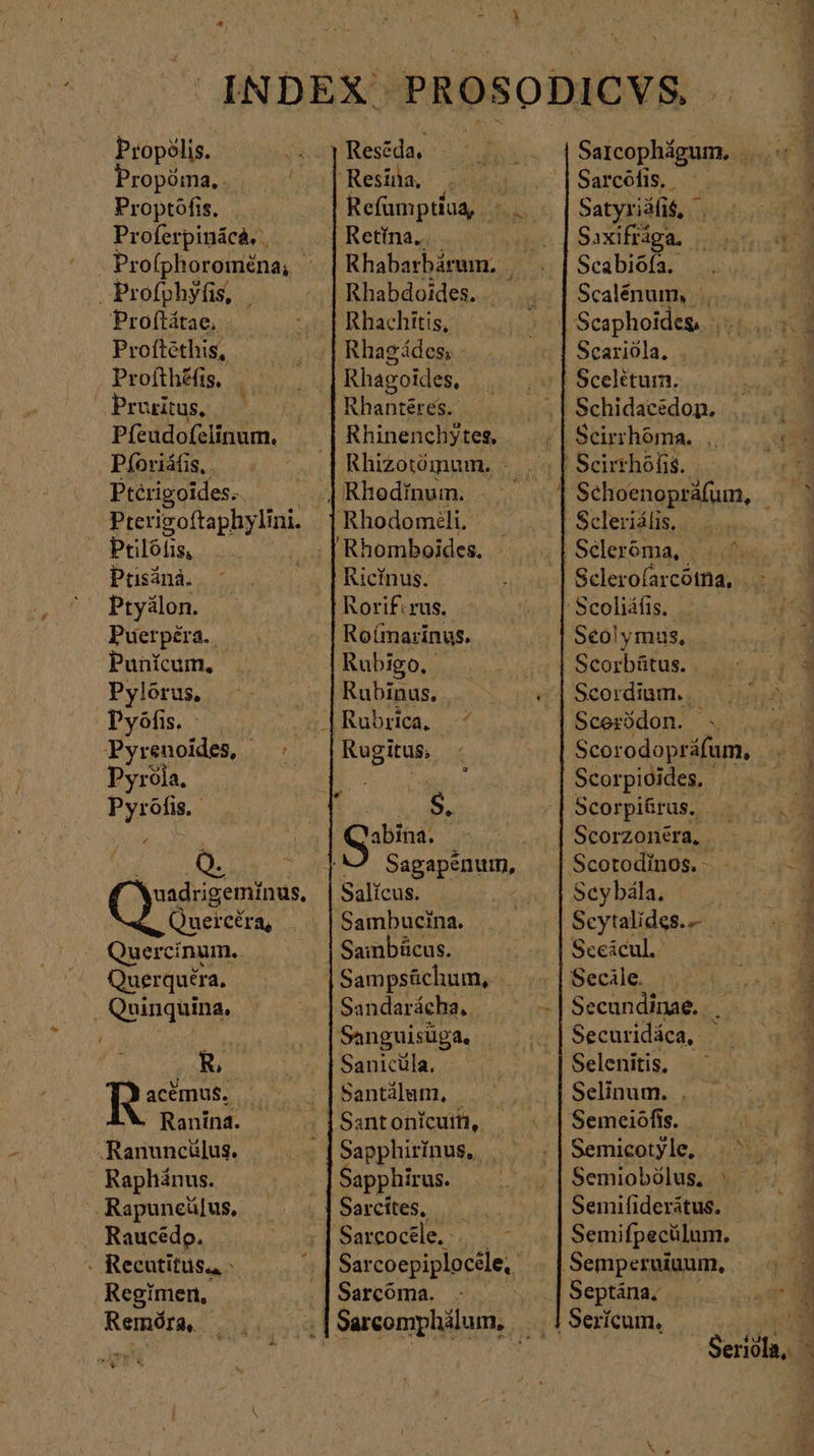 de RE INDEX PROSODICVS | Propélis. τς ΟἹ Reséda, i Sarcophágum, We ropóma, Resina, enia Sarcófis, v Proptófis, Refumptiug, |... |Satyridfié, - qu Proferpinäca. | — |Retina..  Sxifidga. - Profphoroména, | Rhabarbärum. 2 Seabiöfa. Profphyfis, | | Rhabdoides. |. Scalénum, ... : Proftátae, Rhachitis, | Scaphoides.. ‚ P Proftethis, Rhagädes, ] Scarióla, 1H Profthéfts, Rhagoides, [| Scelétum. we, Pruritus, | Rhanteres. 4 PSchidatedon. οι αν Pfeudofelinum. Rhinenchytes, | Seirrhörna. .. m. Pforiáfis, . Rhizotömum. : ' Scirthofis. | Ptérigoides. | Rhedinum. - . Schoenoprafum, ^. | Pterigoftaphylini. | Rhodomeli. Selerialis. Prilófis, Rhomboides. | Seleróma, | 4f Pusáná. Rieinus. Selerofarcöina, Pryälon. Rorif:rus. ' Scoliáfis, Puerpéra. Roímarinus. Seo! ymus, 1 Punicum, Rubigo, || | | |Scorbütus. | Pylórus, ον | Rubinus, i4 Seordinm. o ρὴ Pyöfis. - Rubrica, ^ Scerbdon. . ᾿ Pyrenoides, - Kugitus, - Scorodopráfum, i Pyrola. τ λων Scorpioides. p Pyröfis. (Tu 5, Scorpihrus., 5, 0M | Se τς s. | Seorzonera, E A IM Sagapenum, Scotodinos. - X \uadrigeminus, Salícus. - Scy bála. 1 Quer céra, Sambucina. Scytalides. Ἅ Quercinum. | Sambücus. Seeicul. | Querquéra. Sampsächum, Secile. . 5 A .Quinquina. . Sandarácha, ᾽΄.| Secundinae.. . [ e Piper o Sanguisüga, Securidäca, y KEW Y Sanicüla, Selenitis, ; Ren: ^ |Santiülum, Selinum. . y Ranina. | Santonicum, . | Semeiófis. n. ‚Ranuncülus. - | Sapphirínus, _ Semicotyle, |^. ° | Raphánus. Fa Semiobólus, Ὁ ? ^ Rapuncülus, Sarcítes,. Semifiderätus. | E Raucédo. Sareocdle. |. -— Semifpecülum. ι . Recutitus“ » E Sarcoepiplocéle, ‚Semperniuum, || - Regimen, Sarcóma. je] SEptADaz «is sca di D Remóra, Sarcomphälum, ὀ !Serícum, | A ΑΝ, | ῥῆμα Seridla, -