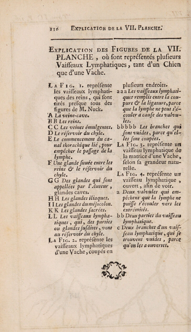 » r* 5i$ Explication de la VIL Planche. Explication des Figures de la VIL PLANCHE , où font repréfentés plufieurs Vaiffeaux Lymphatiques, tant d’un Chien que d’une Vache. La F x g. x. repréfente les vaiffeaux lymphati¬ ques des reins, qui font tirés prefque tous des figures de M. Nuck. A La veine-cave• B B Les reins. C C Les veines émulgentes» D Le réfervoir du chyle. E Le commencement du ca¬ nal thorachique lié, pour empêcher le ÿaffage de la lymphe, F Une glande fituée entre les reins & le réfervoir du chyle. G G Des glandes qui font appellées par r Auteur , glandes caves. HH Les glandes iliaques. ï I Les glandes duméjocolon. K K Les glandes facrées, L L Les vaiffeaux lympha¬ tiques , qui y des parties eu glandes Jufdites, vont au réfervoir du chyle. La Fig. z. repré fente les vaiffeaux lymphatiques d’une Vache,coupés en plufieurs endroits. a a a Les vaiffeaux lymphati¬ ques remplis entre la cou¬ pure & la ligatureyparce que la lymphe ne peut s'/é- couler à caufe des valvu¬ les. bbbbb Les branches qui font vuides y parce qu'el¬ les font coupées. La Fig. 3. repréfente un vaiffeau lymphatique de la matrice d’une Vache s félon fa grandeur natu¬ relle. La Fig. 4* repréfente urr vaiffeau lymphatique , ouvert, afin de voir. a Deux valvules qui em¬ pêchent que la lymphe ne puiffe s'écouler vers les extrémités. b b Deux parties du vaiffeau lymphatique. c Deux branches d'un vaif¬ feau lymphatique, qui fe trouvent vuides , parcç qu'on Us a ouvertes• sifX%