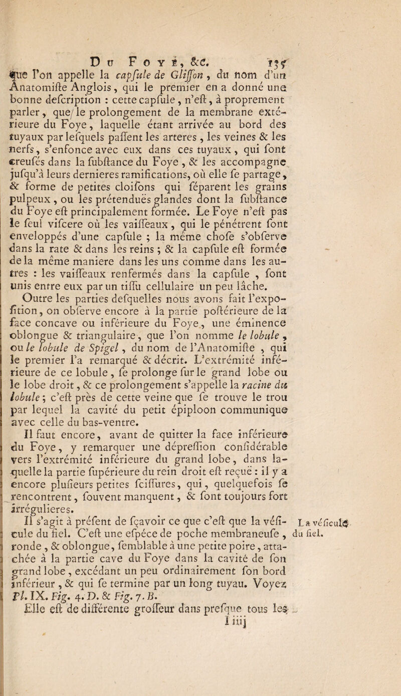 D IT F O Y Ê, &C. ïff <|UC Ton appelle la cap fuie de Glijfon , du nom d’un Ânatomifte Anglois, qui le premier en a donné une bonne defcription : cette capfule, n’eft, à proprement parler, que/ le prolongement de la membrane exté¬ rieure du Foye, laquelle étant arrivée au bord des tuyaux par lesquels paffent les arteres, les veines & les nerfs, s’enfonce avec eux dans ces tuyaux , qui font creufés dans la fubftance du Foye , & les accompagne jufqu’â leurs dernieres ramifications, où elle fe partage, & forme de petites cloifons qui féparent les grains pulpeux , ou les prétendues glandes dont la fubftance du Foye eft principalement formée. Le Foye n’eft pas le feul vifcere où les vaiiïèaux, qui le pénétrent font enveloppés d’une capfule ; la même chofe s’obferve dans la rate & dans les reins ; & la capfule eft formée delà même maniéré dans les uns comme dans les au¬ tres : les vaiffeaux renfermés dans la capfule , font unis entre eux par un tiiïii cellulaire un peu lâche. Outre les parties defquelles nous avons fait l’expo- fition, on obferve encore à la partie poftérieure de la face concave ou inférieure du Foye, une éminence oblongue & triangulaire, que l’on nomme le lobule 9 on le lobule de Spigel, du nom de l’Anatomifte , qui le premier l’a remarqué & décrit. L’extrémité infé¬ rieure de ce lobule, fe prolonge fur le grand lobe ou le lobe droit, & ce prolongement s’appelle la racine dm lobule ; c’eft près de cette veine que fe trouve le trou par lequel la cavité du petit épiploon communique' avec celle du bas-ventre. Il faut encore, avant de quitter la face inférieure du Foye, y remarquer une dépreiïïon conlidérable vers l’extrémité inférieure du grand lobe, dans la- i -quelle la partie fupérieure du rein droit eft reçue : il y a encore plufîeurs petites fciiïùres, qui, quelquefois fe rencontrent, fouvent manquent, & font toujours fort f irrégulières. Il s agit a prefent de fçavou ce que c eft que la veiï- L a véfic : cule du fiel. C’eft une efpéce de poche membraneufe , du fiel. I ronde , & oblongue, femblable à une petite poire, atta- Jj chée à la partie cave du Foye dans la cavité de fon jj grand lobe, excédant un peu ordinairement fon bord ; inférieur , & qui fe termine par un long tuyau. Voyez l VL IX. Fig. 4. D. & Fig. 7. B. File eft de différente groiïeur dans prefque tous le$ . Uiij