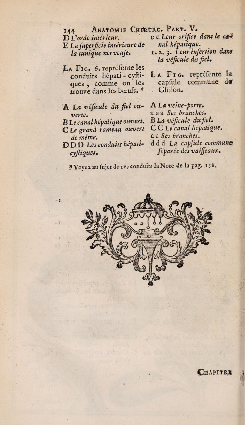 JJ L’orde intérieur. c c heur orifice dam le c#Â E La fuperficie intérieure de la tunique nerveufe. La Fio. 6. repréfente les conduits hépati - cyfti- ques , comme on les trouve dans les bœufs. * nal hépatique. 1.2.3. Leur infertion dans la véficule du fiel* La Fig. repréfente la capfule commune d*‘ Glifibn. A La véficule du fiel ou¬ verte. B Le canal hépaîique ouvert. C Le grand rameau ouvert de même. D D D Les conduits hépati- cyfiiques. A La veine-porte. a a a Ses branches. B La véficule du fiel. C C Le canal hépatique. c c Ses branches. d dd La capfule commune féparée des vaijfeaux. Voyex au fujet de ces conduits la Note de la pag. 138. Chapitre $