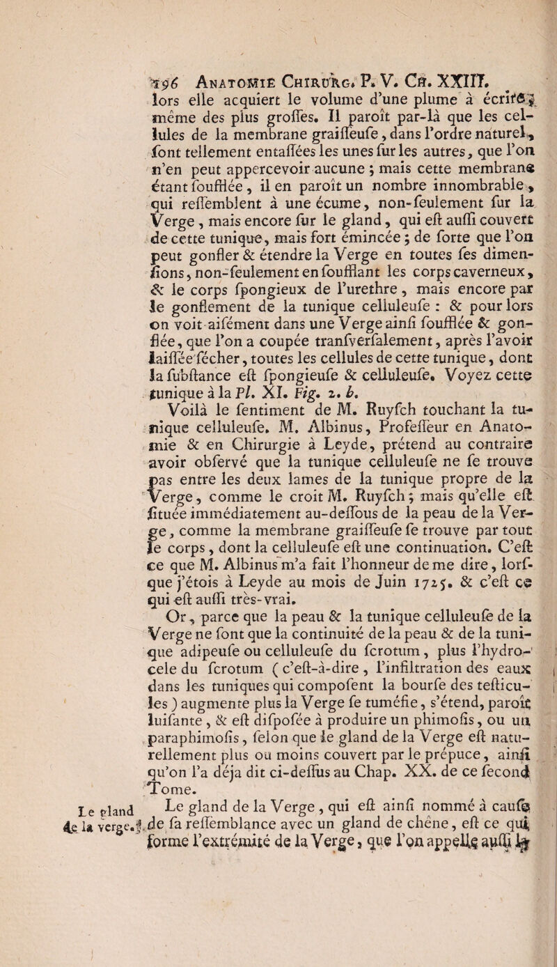 le çland 4e 1» verge.] •$$6 Anatomie Chirurg* P» V. CfT. XXI17. lors elle acquiert le volume d’une plume à écrlf^l même des plus groffes. Il paroît par-là que les cel¬ lules de la membrane graiflèufe, dans Tordre naturel, font tellement entaftéesles unes fur les autres, que l’on n’en peut appercevoir aucune ; mais cette membrane étant fouftlée , il en paroît un nombre innombrable , qui reiïemblent à une écume, non-feulement fur la Verge , mais encore fur le gland, qui eft auifi couvert de cette tunique, mais fort émincée ; de forte que l’on peut gonfler & étendre la Verge en toutes fes dimen- lions, non-feulement en fouillant les corps caverneux, & le corps fpongieux de l’urethre, mais encore par le gonflement de la tunique celluleufe : & pour lors on voit aifément dans une Verge ainiî fouillée & gon¬ flée, que l’on a coupée tranfverfalement, après l’avoir laiffée fécher, toutes les cellules de cette tunique, dont lafubftance eft fpongieufe & celluleufe. Voyez cette jtunique à la PL XI. Fig. 2. b. Voilà le fentiment de M. Ruyfch touchant la tu¬ nique celluleufe. M. Albinus, Profeifeur en Anato¬ mie & en Chirurgie à Leyde, prétend au contraire avoir obfervé que la tunique celluleufe ne fe trouve pas entre les deux lames de la tunique propre de la Verge, comme le croit M. Ruyfch; mais qu’elle eft lituée immédiatement au-deilous de la peau de la Ver¬ ge , comme la membrane graiflfeufe fe trouve par tout le corps, dont la celluleufe eft une continuation. C’eft ce que M. Albinus m’a fait l’honneur de me dire, lorf- que j’étois à Leyde au mois de Juin 1725. & c’eft ce qui eft aufli très-vrai. Or, parce que la peau & la tunique celluleufe de la Verge ne font que la continuité de la peau & de la tuni¬ que adipeufe ou celluleufe du fcrotum, plus l’hydro- cele du fcrotum ( c’eft-à-dire , l’infiltration des eaux dans les tuniques qui compofent la bourfe des tefticu- les ) augmente plus la Verge fe tuméfie, s’étend, paroît luifante , & eft difpofée à produire un phimofis, ou un paraphimofis, félon que le gland de la Verge eft natu¬ rellement plus ou moins couvert par le prépuce, ainiî qu’on l’a déjà dit ci-deftus au Chap. XX. de ce fécond Tome. Le gland de la Verge , qui eft ainfi nommé à caufia !kde lareftèmblance avec un gland de chêne, eft ce qui, forme l’extrémité de la Verge, que l’on appelle aufti J$r