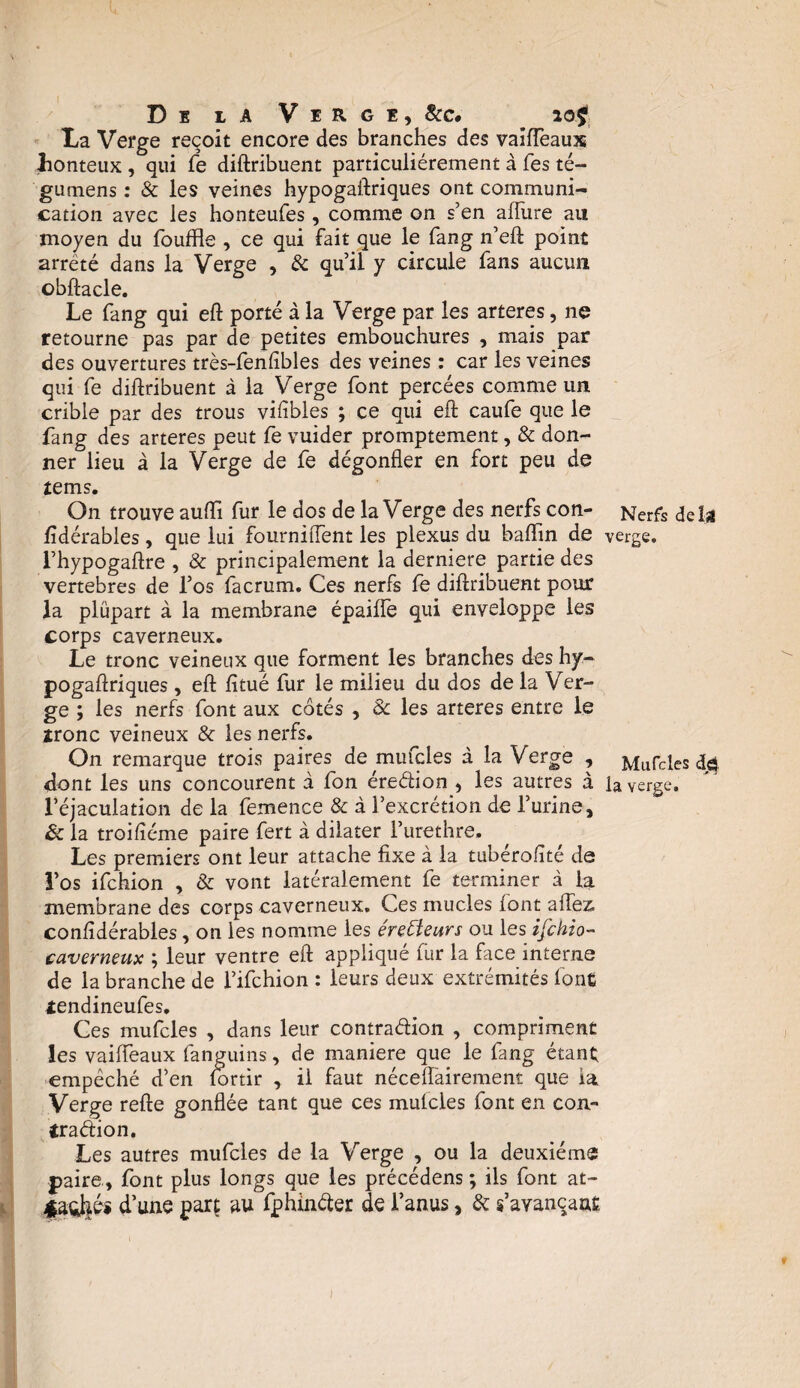 De la Verge, &c# La Verge reçoit encore des branches des vaiffeaux Lonteux , qui fe diftribuent particuliérement à Tes té- gumens : & les veines hypogaftriques ont communi¬ cation avec les honteufes, comme on s’en affine au moyen du fouffle , ce qui fait que le fang n’eft point arreté dans la Verge , & qu’il y circule fans aucun obftacle. Le fang qui eft porté à la Verge par les arteres, ne retourne pas par de petites embouchures , mais par des ouvertures très-fenlibles des veines : car les veines qui fe diftribuent à la Verge font percées comme un crible par des trous vifibles ; ce qui eft caufe que le fang des arteres peut fe vuider promptement, & don¬ ner lieu à la Verge de fe dégonfler en fort peu de tems. On trouve auiïi fur le dos de la Verge des nerfs con- f dérables, que lui fourniflent les plexus du baflin de l’hypogaftre , & principalement la derniere partie des vertebres de l’os facrum. Ces nerfs fe diftribuent pour la plüpart à la membrane épaiffe qui enveloppe les corps caverneux. Le tronc veineux que forment les branches des hy¬ pogaftriques , eft fitué fur le milieu du dos de la Ver¬ ge ; les nerfs font aux cotés , 8c les arteres entre le îronc veineux & les nerfs. On remarque trois paires de mufcles à la Verge , dont les uns concourent à fon éredion , les autres à l’éjaculation de la femence & à l’excrétion de l’urine, 8c la troifiéme paire fert à dilater l’urethre. Les premiers ont leur attache fixe à la tubérolité de l’os ifchion , & vont latéralement fe terminer à la membrane des corps caverneux. Ces mucles font allez, confidérables, on les nomme les érefteurs ou les ifchio- caverneux ; leur ventre eft appliqué fur la face interne de la branche de l’ifchion : leurs deux extrémités (ont *endineufes. Ces mufcles , dans leur contradion , compriment les vaiffeaux fanguins, de maniéré que le fang étant empêché d’en lortir , ii faut néceflairement que la Verge refte gonflée tant que ces mulcles font en con- tradion. Les autres mufcles de la Verge , ou la deuxième paire., font plus longs que les précédens ; ils font at- J|éî d’une part au fphinder de l’anus, & s’avançant. Nerfs deljl verge. Mufcles djS la verge. i