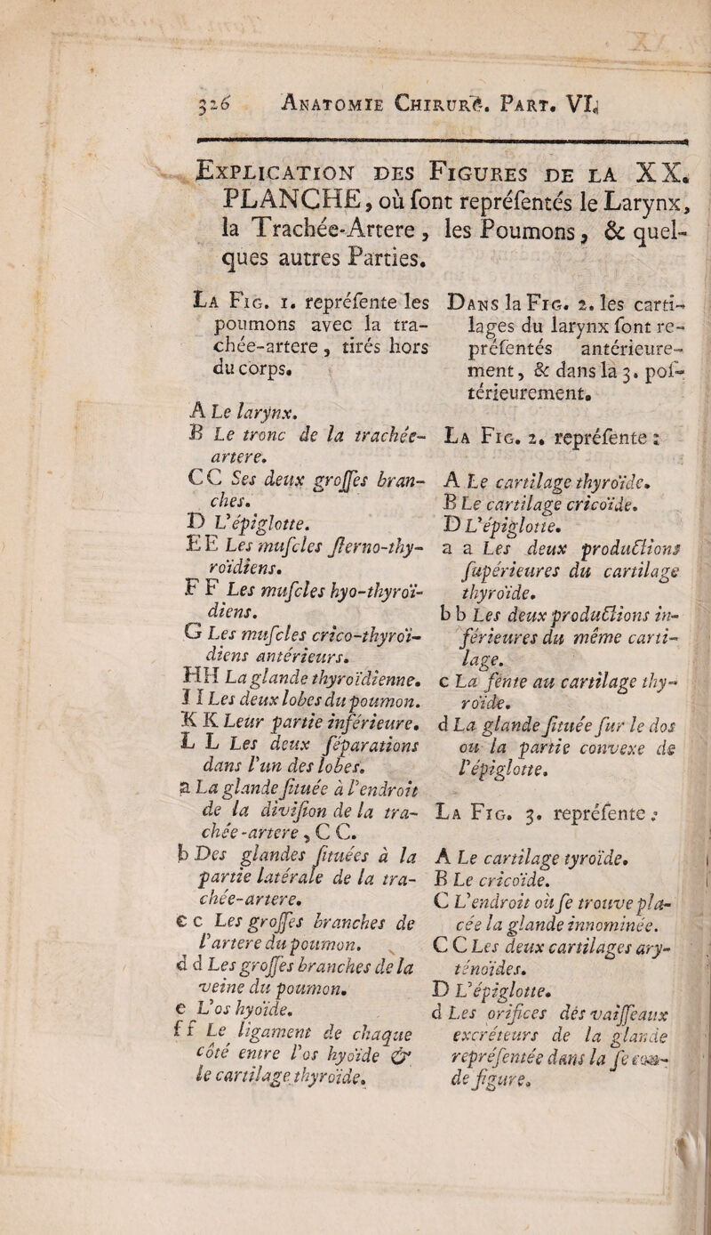 Anatomie ChirurA, Part. VT 9mmmtmammm—a—mm—m\mim ——fmn—as—■—bp—«agra——ca—.ihiiwmw»' Explication des Figures de la XX. PLANCHE , où font repréfentés le Larynx, la Trachée-Artere , les Poumons, 6c quel¬ ques autres Parties. La Fig. ï. repréfente les poumons avec la tra- chée-artere, tirés hors du corps. A Le larynx. B Le tronc de la trachée- ancre. CC Ses deux greffes bran¬ ches» D Vépiglotte. E E Les mufdes Jlerno-thy- roidiens» F F Les mufcles hyo-thyroï- diens. G Les mufdes crico-thyrdi- diens antérieurs. HH La glande thyroïdienne• ï ï Les deux lobes du poumon. K K Leur partie inférieure. L L Les deux féparations dans l'un des lobes. S La glande fituée à l'endroit de la divifion de la tra¬ chée -ancre }CC. b Des glandes limées à la partie latérale de la tra¬ chée- artere. e c Les grojfes branches de l'artere dm poumon. d d Les grojfes branches de la veine du poumon. e Vos hyoïde. f f Le ligament de chaque Coté entre l'os hyoïde & le cartilage, thyroïde» Dans la Fig. i» les carti¬ lages du larynx font re¬ préfentés antérieure¬ ment, & dans la 3. pos¬ térieurement, La Fig. 2. repréfente ; A Le cartilage thyroïde» B Le cartilage cricoïde. D L'épiglotte. a a Les deux productions fupérieures du cartilage thyroïde. b b Les deux productions in¬ férieures du même carti¬ lage. c La fente au cartilage thy¬ roïde. d La glande fituée fur le dos ou la partie convexe de l'épiglotte. La Fig. 3. repréfente; A Le cartilage tyroïde. B Le cricoïde. C L'endroit oit fe trouve pla¬ cée la glande innommée. C C Les deux cartilages ary¬ ténoïdes. D L'épiglotte» d Les orifices dés v ai féaux excréteurs de la glande repréfentée dans la Je cm- de figure.