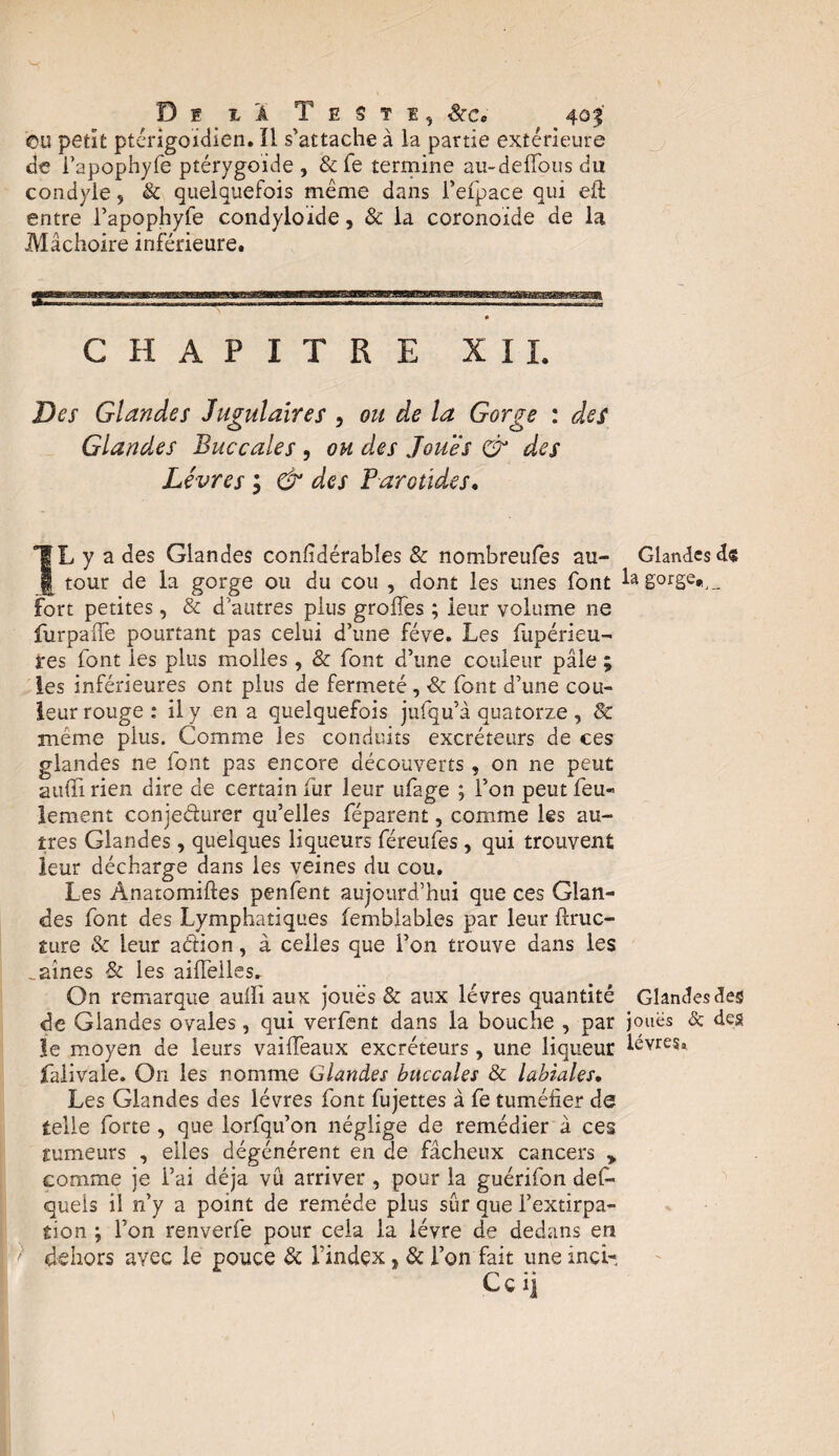 eu petit ptérigoidien. ïi s'attache à la partie extérieure de i’apophyfe ptérygofiie , & fe termine au-defTous du condyle, & quelquefois même dans l’eipace qui eft entre l’apophyfe condyloïde, & la coronoide de la Mâchoire inférieure. CHAPITRE X I I. Des Glandes Jugulaires , ou de la Gorge : des O J o Glandes Buccales , ou des Joues & des Lèvres ; & des Parotides. IL y a des Glandes confidérabîes & nombreufes au- Glandes de Jj tour de la gorge ou du cou , dont les unes font lag°rgetj_ fort petites, & d'autres plus grolfes ; leur volume ne furpaffe pourtant pas celui d’une fève. Les fupérieu- res font les plus molles, & font d’une couleur pâle ; les inférieures ont plus de fermeté, ■& font d’une cou¬ leur rouge : il y en a quelquefois jufqu’â quatorze , & meme plus. Comme les conduits excréteurs de ces glandes ne font pas encore découverts, on ne peut aufii rien dire de certain fur leur ufage ; l’on peut feu¬ lement conjecturer qu’elles féparent, comme les au¬ tres Glandes, quelques liqueurs féreufes , qui trouvent leur décharge dans les veines du cou. Les Ânatomiftes penfent aujourd’hui que ces Glan¬ des font des Lymphatiques femblables par leur ftruc- gure & leur action, à celles que l’on trouve dans les ..aines 8c les aiffeiles^ On remarque aulïi aux joues & aux lèvres quantité Glandes des de Glandes ovales, qui verfent dans la bouche , par jouës & des le moyen de leurs vailfeaux excréteurs, une liqueur lèvres, falivale. On les nomme Glandes buccales 8c labiales• Les Glandes des lèvres font fujettes à fe tuméfier de telle forte , que lorfqu’on néglige de remédier â ces tumeurs , elles dégénèrent en de fâcheux cancers > comme je l’ai déjà vu arriver , pour la guérifon def- queis il n’y a point de remède plus sûr que l’extirpa¬ tion ; l’on renverfe pour cela la lèvre de dedans en ' dehors avec le pouce 8c l'index, 8c l’on fait une inçi- Ccijj