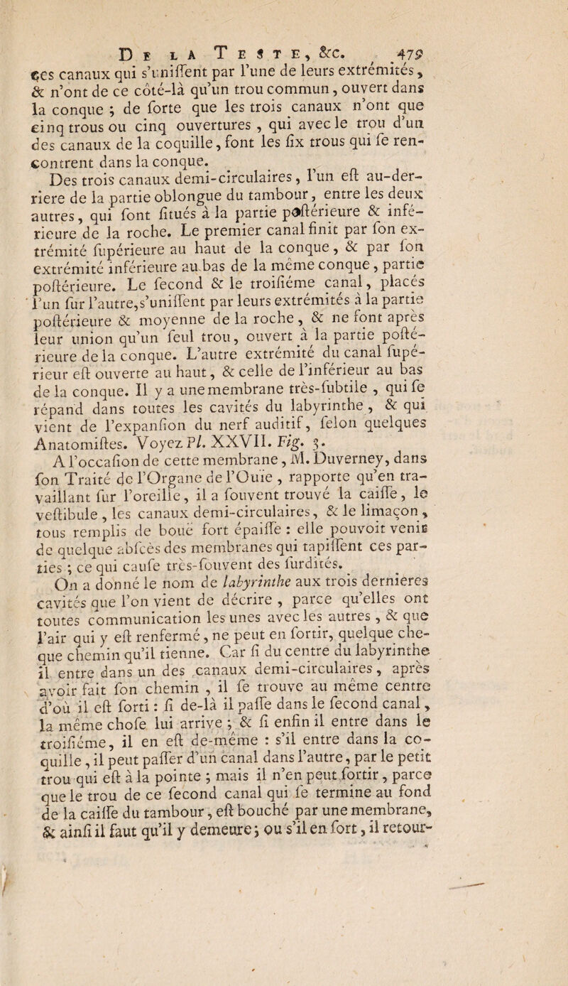 C€s canaux qui s’uniftent par l’une de leurs extrémités, & n’ont de ce côté-là qu’un trou commun, ouvert dans la conque , de forte que les trois canaux n ont que cinq trous ou cinq ouvertures , qui avec le trou d un des canaux de la coquille, font les fix trous qui fe ren¬ contrent dans la conque. Des trois canaux demi-circulaires, 1 un eft au-der- nere de la partie oblongue du tambour, entre les deux autres, qui font fitués à la partie paftérieure & infé¬ rieure de la roche. Le premier canal finit par Ion ex¬ trémité ftipérieure au haut de la conque, Sc par Ion extrémité inférieure au bas de la meme conque, partie poftérieure. Le fécond & le troifieme canal, placés l’un fur l’autre,s’unifient par leurs extrémités à la partie poftérieure & moyenne de la roche, & ne font après leur union qu’un feul trou, ouvert a la partie pofté¬ rieure de la conque. L’autre extrémité du canal fupé- rieur eft ouverte au haut, & celle de l’inférieur au bas de la conque. Il y a une membrane très-iubtile , quife répand dans toutes les cavités du labyrinthe , & qui vient de l’expanfion du nerf auditif, leion quelques Anatomiftes. Voyez Pl. XXV II. Fig. 3. A l’occafion de cette membrane, IVl. Duverney, dans fon Traité de l’Organe de l’Ouïe , rapporte qu’en tra¬ vaillant fur l’oreille, il a fouvent trouvé la caille, le veftibule , les canaux demi-circulaires, & le limaçon , tous remplis de boue fort épaiftè : elle pouvoir venie de quelque abfcès des membranes qui tapiftent ces par¬ ties ; ce qui caufe très-fouvent des furdités. On a donné le nom de labyrinthe aux trois dernières cavités que l’on vient de décrire , parce quelles ont toutes communication les unes avec les autres, & que l’air oui y eft renfermé, ne peut en fortir, quelque chè¬ que chemin qu’il tienne. Car fi du centre du labyrinthe il entre dans un des canaux demi-circulaires, après avoir fait fon chemin , il fe trouve au meme centre d’où il eft forti : fi de-là il patte dans le fécond canal, la même chofe lui arrive ; & fi enfin il entre dans le troifiéme, il en eft de-même : s’il entre dans la co¬ quille , il peut pafier d’un canal dans l’autre, par le petit trou qui eft à la pointe ; mais il n’en peut fortir, parce que le trou de ce fécond canal qui fe termine au fond de la caitte du tambour, eft bouché par une membrane, & ainfi il faut qu’il y demeure j ou s’il en fort, il retour-