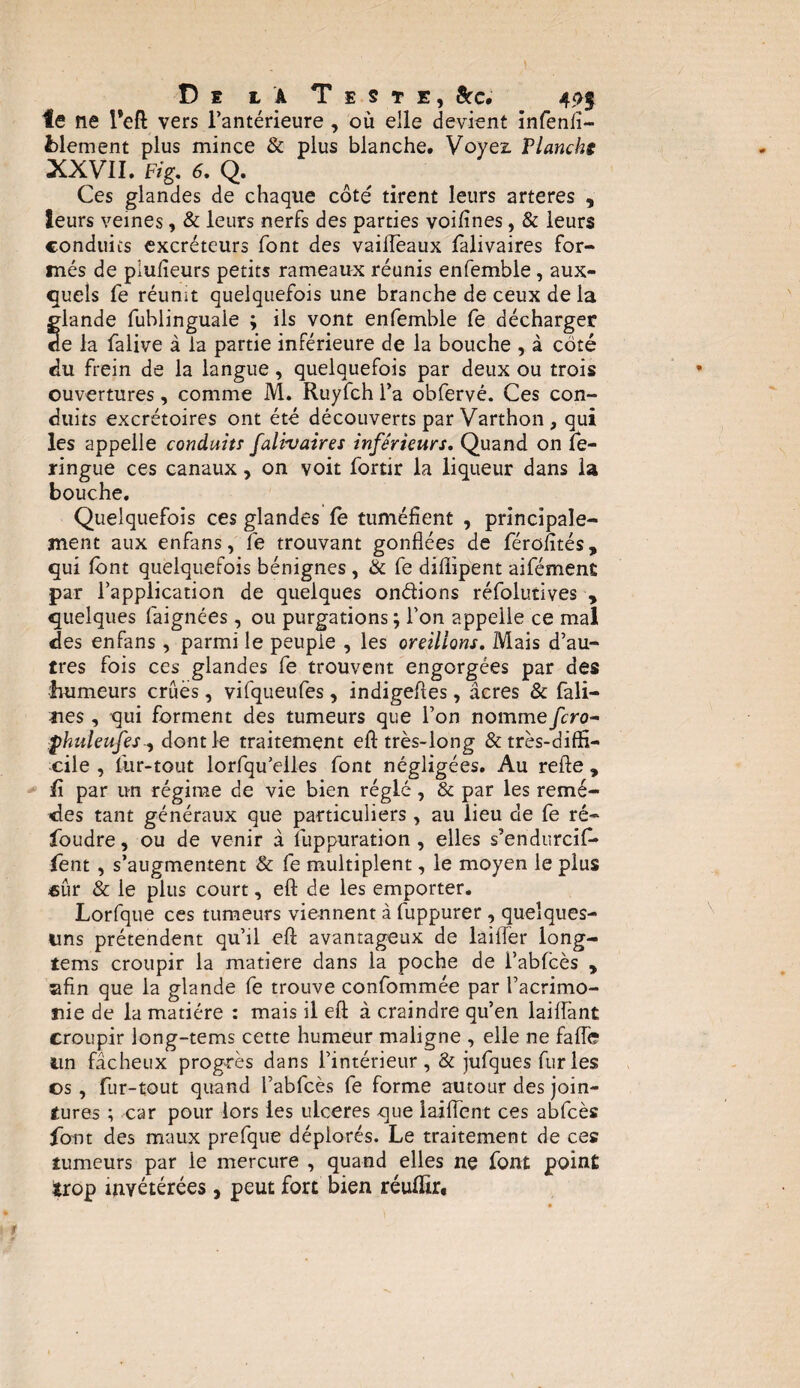 De Là Teste, Scc, 49$ le ne l*eft vers l’antérieure , où elle devient infenfi- fclement plus mince & plus blanche. Voyez. Flancht XXVII. Fig, 6. Q. Ces glandes de chaque côté tirent leurs arteres , leurs veines, & leurs nerfs des parties voifines, & leurs conduits excréteurs font des vailfeaux falivaires for¬ més de plulieurs petits rameaux réunis enfemble, aux¬ quels fe réunit quelquefois une branche de ceux de la flande fublinguaie ; ils vont enfemble fe décharger e la falive à la partie inférieure de la bouche , à coté du frein de la langue, quelquefois par deux ou trois ouvertures, comme M. Ruyfch l’a obfervé. Ces con¬ duits excrétoires ont été découverts par Varthon , qui les appelle conduits falivaires inférieurs. Quand on fe- ringue ces canaux, on voit fortir la liqueur dans la bouche. Quelquefois ces glandes fe tuméfient , principale¬ ment aux enfans, Té trouvant gonflées de férofités, qui font quelquefois bénignes, & fe diflipent aifément par l’application de quelques ondions réfolutives y quelques faignées, ou purgations ; l’on appelle ce mal des enfans , parmi le peuple , les oreillons. Mais d’au¬ tres fois ces glandes fe trouvent engorgées par des .humeurs crues, vifqueufes, indigefles, âcres & fali- nes, qui forment des tumeurs que l’on nommefcro- phuleufes-, dont le traitement eft très-long & très-diffi¬ cile , fur-tout lorfqu’elles font négligées. Au refte , û par un régime de vie bien réglé, & par les remè¬ des tant généraux que particuliers , au lieu de fe ré¬ foudre , ou de venir à luppuration , elles s’endurcif* fent, s’augmentent & fe multiplent, le moyen le plus «ûr & le plus court, eft de les emporter. Lorfque ces tumeurs viennent à fuppurer, quelques- uns prétendent qu’il eft avantageux de laitier long- tems croupir la matière dans la poche de i’abfcès , afin que la glande fe trouve confommée par l’acrimo¬ nie de la matière : mais il eft à craindre qu’en laiffant croupir long-tems cette humeur maligne , elle ne faflc un fâcheux progrès dans l’intérieur, & jufques fur les os , fur-tout quand l’abfcès fe forme autour des join¬ tures ; car pour lors les ulcérés que iaiffent ces abfcès font des maux prefque déplorés. Le traitement de ces tumeurs par le mercure , quand elles ne font point *rop invétérées, peut fort bien réutiir.