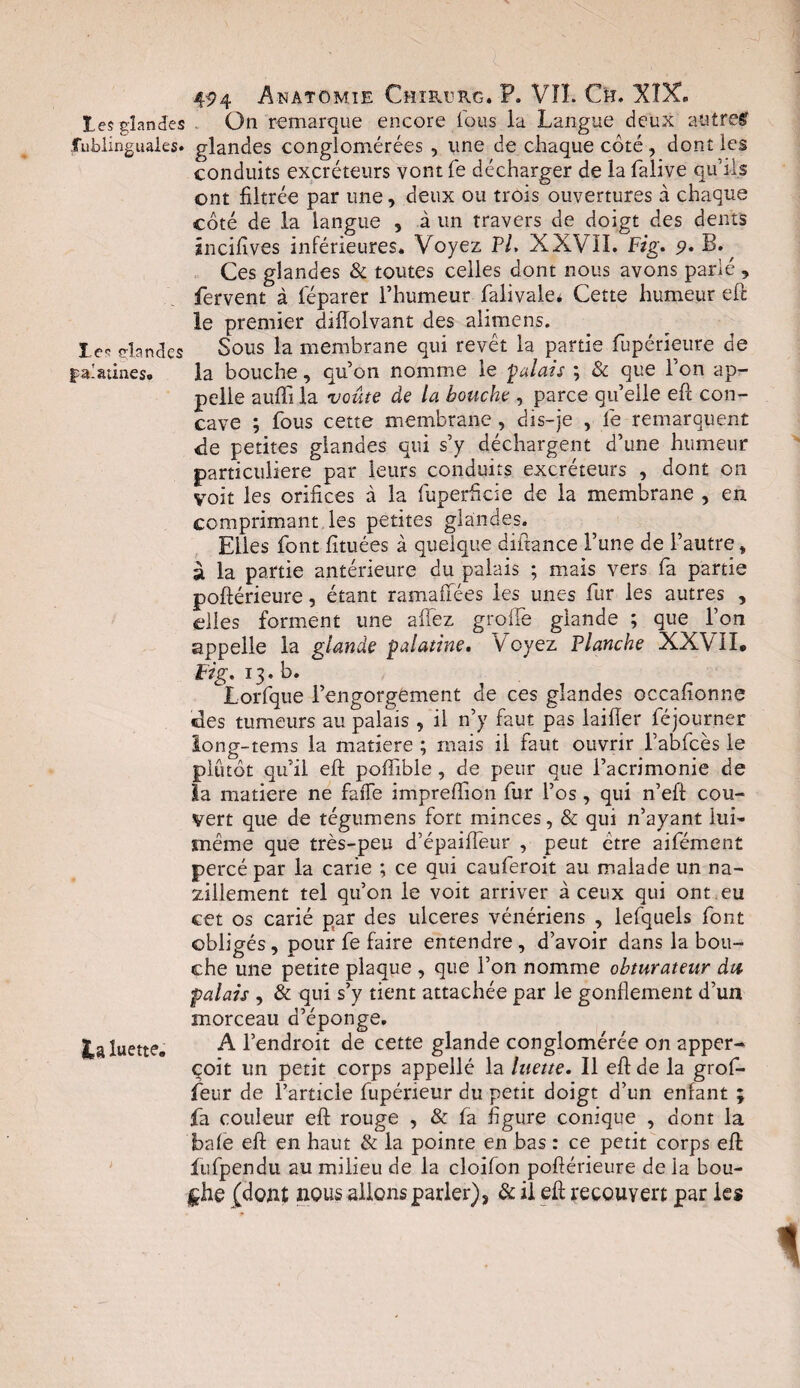 le? glandes . On remarque encore fous la Langue deux autre# fublxnguales. glandes conglomérées , une de chaque côté, dont les conduits excréteurs vont fe décharger de la falive qu’ils ont filtrée par une, deux ou trois ouvertures à chaque côté de la langue , à un travers de doigt des dents incifives inférieures* Voyez P/. XXVII. Fig. 9. B.^ Ces glandes & toutes celles dont nous avons parlé , fervent à féparer l’humeur falivale* Cette humeur eft le premier diffolvant des alimens. les glandes Sous la membrane qui revêt la partie fupérieure de palatines. la bouche, qu’on nomme le palais ; & que l'on ap¬ pelle aufïi la voûte de la bouche , parce qu’elle eft con¬ cave ; fous cette membrane, dis-je , le remarquent de petites glandes qui s’y déchargent d’une humeur particulière par leurs conduits excréteurs , dont 011 voit les orifices à la fuperficie de la membrane , en comprimant les petites glandes. Elles font fituées à quelque diftance l’une de l’autre, à la partie antérieure du palais ; mais vers fa partie poftérieure, étant ramaffées les unes fur les autres , elles forment une allez grolfe glande ; que l’on appelle la glande palatine. Voyez Flanche XXVII. Fig. 13. b. Lorfque l’engorgement de ces glandes occalionne des tumeurs au palais , il n’y faut pas lailîer féjourner îong-tems la matière ; ruais il faut ouvrir l’abfcès le plutôt qu’il eft poftible, de peur que l’acrimonie de la matière ne faiTe impreftion fur l’os, qui n’eft cou¬ vert que de tégumens fort minces, & qui n’ayant lui- même que très-peu d’épaifleur , peut être aifément percé par la carie ; ce qui cauferoit au malade un na- zillement tel qu’on le voit arriver à ceux qui ont eu cet os carié par des ulcérés vénériens , lefquels font obligés, pour fe faire entendre, d’avoir dans la bou¬ che une petite plaque , que l’on nomme obturateur du palais , & qui s’y tient attachée par le gonflement d’un morceau d’éponge. ta luette. A l’endroit de cette glande conglomérée on apper- coit un petit corps appellé la luette. Il eft de la grof- feur de l’article fupérieur du petit doigt d’un enfant ; fa couleur eft rouge , & fa figure conique , dont la baie eft en haut & la pointe en bas : ce petit corps eft fufpendu au milieu de la cloifon poftérieure de la bou¬ che (dont nous allons parler), & il eft recouvert par les