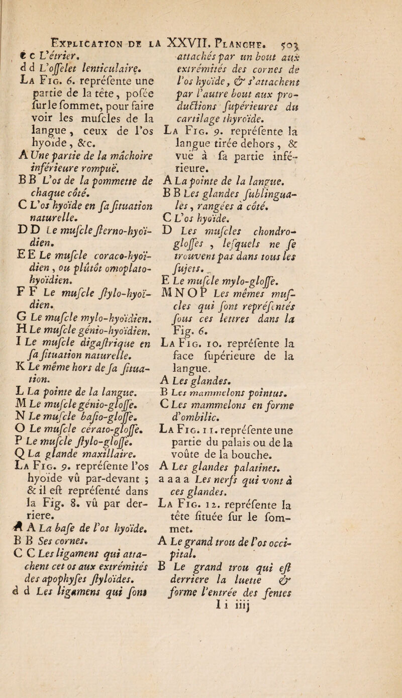 Explication de la t c Vétrier, d d L'ojfelet lenticulaire. La Fig. 6. repréfente une partie de la tête, pofée furie fommet, pour faire voir les mufcles de la langue, ceux de l’os hyoïde, &c. A Une partie de la mâchoire inférieure rompue. BB U os de la pommette de chaque coté. C Vos hyoïde en fa fuuation naturelle, DD le mufcleJlerno-hyoï- dien. E E Le mufcle coraco-hyoi- dien , ou plutôt omoplato- hyoïdien. F F Le mufcle flylo-hyoï- dien, G Le mufcle mylo-hyoïdien, H Le mufcle génio-hyoïdien. I Le mufcle digaflrique en fa fituation naturelle, K Le même hors de fa fitua¬ tion. L La pointe de la langue. M Le mufcle génio-glojjè, N Le mufcle bafw-gloffe. O Le mufcle cérato-glojfe• P Le mufcle Jlylo-gloffe, Q La glande maxillaire, La Fig. 9, repréfente l’os hyoïde vû par-devant ; & il eft repréfenté dans la Fig. 8. vû par der¬ rière. A hLahafe de Vos hyoïde, B B Ses cornes, C C Les ligament qui atta¬ chent cet os aux extrémités des apophyfes Jlyloïdes, cl d Les ligament qui font XXVII. Planche. attachés par un bout aux extrémités des cornes de l’os hyoïde, & s'attachent par l'autre bout aux pro¬ duirions fupérieures du cartilage thyroïde, La Fig. 9. repréfente la langue tirée dehors , & vue à fa partie infé¬ rieure. A. La pointe de la langue. B B Les glandes fublingua- les, rangées à côté. C Vos kyoïde. D Les mufcles chondro- glojfes , lefquels ne fe trouvent pas dans tous les fujets. „ E Le mufcle mylo-glojfe. M N O P Les mêmes muf¬ cles qui font repréfentés fous ces lettres dans la Fig. 6. La Fig. 10. repréfente la face fupérieure de la langue. A Les glandes. B Les mammelons pointus. C Les mammelons en forme d'ombilic. La Fig. 11. repréfente une partie du palais ou de la voûte de la bouche. A Les glandes palatines. a a a a Les nerfs qui vont à ces glandes. La Fig. 12. repréfente la tête /îtuée fur le fom¬ met. A Legrand trou de Los occi¬ pital. B Le grand trou qui ejl derrière la luette & forme l'entrée des fentes