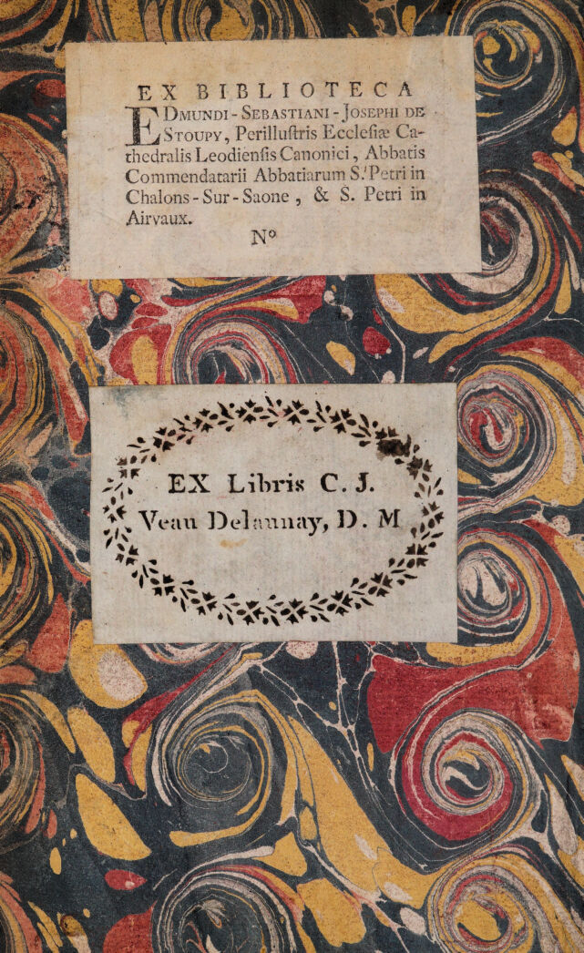 No text description is available for this image