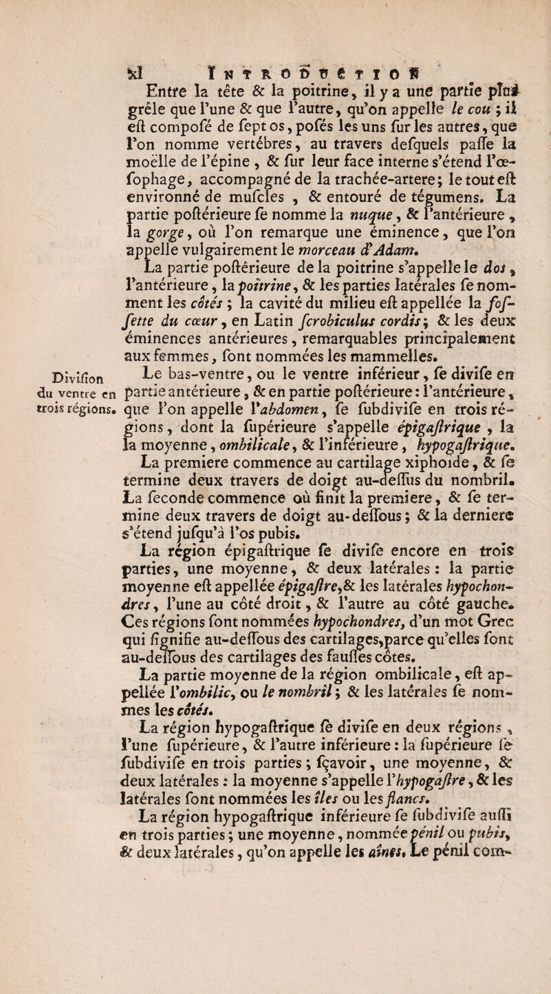 Divîiîon âu ventre en trois régions. ÏNTROÛüetlOÎI Entre la tête & la poitrine, il y a une partie pin# grêle que l’une & que l’autre, qu’on appelle le cou ; ü eft compofé de fept os, pofés les uns fur les autres, que l’on nomme vertèbres, au travers defquels pafle la moelle de l’épine , & fur leur face interne s’étend l’œ- fophage, accompagné de la trachée-artere ; letouteft environné de mufcles , & entouré de tégumens. La partie poftérieure fe nomme la nuque, & l’antérieure , la gorge, où l’on remarque une éminence, que l’on appelle vulgairement le morceau à^Adam, La partie poftérieure de la poitrine s’appelle le dos, l’antérieure, Iz poitrine^ & les parties latérales renom¬ ment les côtés ; la cavité du milieu eft appellée la fof-' fette du cœur J en Latin fcrobiculus cordis^ 8c les deux éminences antérieures, remarquables principalement aux femmes, font nommées les mammelles. Le bas-ventre, ou le ventre inférieur, le divife en partie antérieure, & en partie poftérieure : l’antérieure , que l’on appelle Vabdomen, fe fubdivile en trois ré¬ gions , dont la fupérieure s’appelle éÿigajlrique , la la moyenne, ombilicale^ 8c l’inférieure, kypogajlriqtte, La première commence au cartilage xiphoide, & fè termine deux travers de doigt au-deftiis du nombril. La fécondé commence où finit la première, & fe ter¬ mine deux travers de doigt au-deflbus; & la derniere s’étend jufqu’à l’os pubis. La région épigaftrique fe divife encore en trois parties, une moyenne, & deux latérales: la partie moyenne eft appellée épigajîre>i8c les latérales hypochon^ dres, l’une au côté droit, & l’autre au côté gauche. Ces régions font nommées hypochondves, d’un mot Grec qui lignifie au-deftbus des cartilagcs,parce qu’elles font au-delïbus des cartilages des faufles côtes, La partie moyenne de la région ombilicale, eft ap¬ pellée Ÿombilicy ou le nombril ; & les latérales fe nom¬ mes les cotés» La région hypogaftrique fè divife en deux régions, l’une fupérieure, & l’autre inférieure : la fupérieure fe fùbdivife entrois parties ; fçavoir, une moyenne, & deux latérales : la moyenne s’appelle Vhypogajîre, & les latérales font nommées les îles ou les flancs» La région hypogaftrique inférieure fe fubdivife aiiftî en trois parties ; une moyenne, nomméepénil ou pubis^ êc deux latérales, qu’on appelle les aîms. Le pénil coîîv-