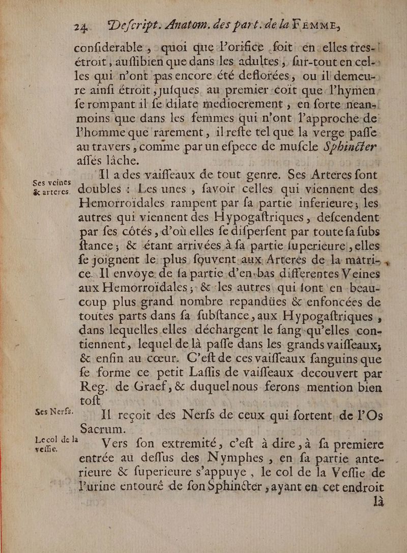 Ses veines & arteres. Ses Nerfs. 24 Defeript. Anatom. des part. dela FEMME, confiderable , quoi que Porifice .foit en: elles tres- | étroit , auflibien que dans les adultes ;. fnr-tout en cel-» les qui n'ont pasencore.été deflorées, ou il; demeu- re ainfi étroit ,Jufques, au premier coit que. l'hymen: fe rompant al fe dilate mediocrement , en forte: nean«. moins que dans les femmes qui n'ont l'approche. de. l'homme que rarement, il refte tel que la verge pañle autravers,comme par un efpece de mufcle Sphinéter aflés lâche. m | Il a des vaifleaux de tout genre. Ses Arteres font doubles : Les unes , favoir celles qui viennent des Hemorroidales rampent par fa partie inferieure; les autres qui viennent des Hypogaftriques , defcendent par fes côtés , d’où elles fe difperfent par toute fa fubs ftance; & étant arrivées À fa partie fuperieure , elles fe joignent le plus fquvent.aux Arteres de. la matri- 4 ce. Il envoye de fa partie d’en:bas differentes V eines aux Hemorroidales ;: & -les autres: qui {ont en -beau- coup plus grand nombre repandües & enfoncées de toutes parts dans fa fubftance ‚aux Hypogaftriques , dans lequelles elles déchargent le fang-qu’elles con- tiennent, lequel delà paffe dans les grands vaiffeaux; & enfin au coeur. C'eft de ces vaiffeaux fanguins que fe forme ce petit Laflis de vaifleaux decouvert par Reg. de Graef, & duquelnous ferons mention bien toft 4 | | Il. reçoit des Nerfs de ceux qui fortent. de l'Os Sacrum. | Vers fon extremité, c'eft à dire ,à fa premiere entrée au deflus des N ymphes , en fa partie ante- rieure & fuperieure s'appuye , le col de la Veffie de Purine entouré de fon Sphinéter „ayant en. cet endroit là