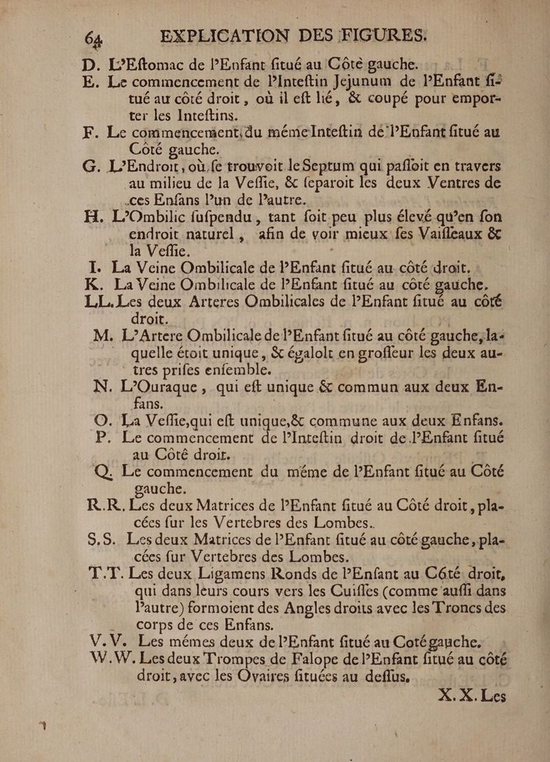 D. L’Eftomac de l'Enfant fitué au Côté gauche. E. Le commencement de PInteftin Jejunum de PEnfant fi: tué au côté droit, où ileft lié, & coupé pour empor- ter les Inteftins. F. Le commencement;du mémelnteftin de PEnfant fitué au Coté gauche. | | G. L’Endroit, où,fe trouvoit le Septum qui pafloit en travers au milieu de la Veffie, & (eparoit les deux Ventres de ‚ces Enfans Pun de Pautre. H. L’Ombilic fufpendu , tant foit peu plus élevé qu'en fon endroit naturel, afin de voir mieux fes Vaifleaux & la Veffie. ; | | I. La Veine Ombilicale de PEnfant fitué au côté droit. K. La Veine Ombilicale de PEnfant fitué au côté gauche. LL. Les deux Arteres Ombilicales de PEnfant fitué au côté droit. 4 M. L’Artere Ombilicale de PEnfant fitué au côté gauche, la- . quelle étoit unique, & épalolt en grofleur les deux au- tres prifes enfemble. N. House ‚ qui eft unique & commun aux deux En- ans. O. La Veffie,qui eft unique,& commune aux deux Enfans. P. Le commencement de l’Inteftin droit de Enfant fitué au Côté droir. | Q. Le commencement du méme de l'Enfant fitué au Coté gauche. | | | R.R. Les deux Matrices de l'Enfant fitué au Côté droit, pla- cécs fur les Vertebres des Lombes. | S.S. Les deux Matrices de PEnfant fitué au côté gauche, pla- cées fur Vertebres des Lombes. T.T. Les deux Ligamens Ronds de PEnfant au Cóté droit, | qui dans leurs cours vers les Cuiffes (comme auffi dans autre) formoient des Angles droits avec les Troncs des . Corps de ces Enfans. V.V. Les mémes deux de Enfant fitué au Cotégauche. W.W. Les deux Trompes de Falope de Enfant fitué au côté droit, avec les Ovaires fituées au deffus, X. X. Les